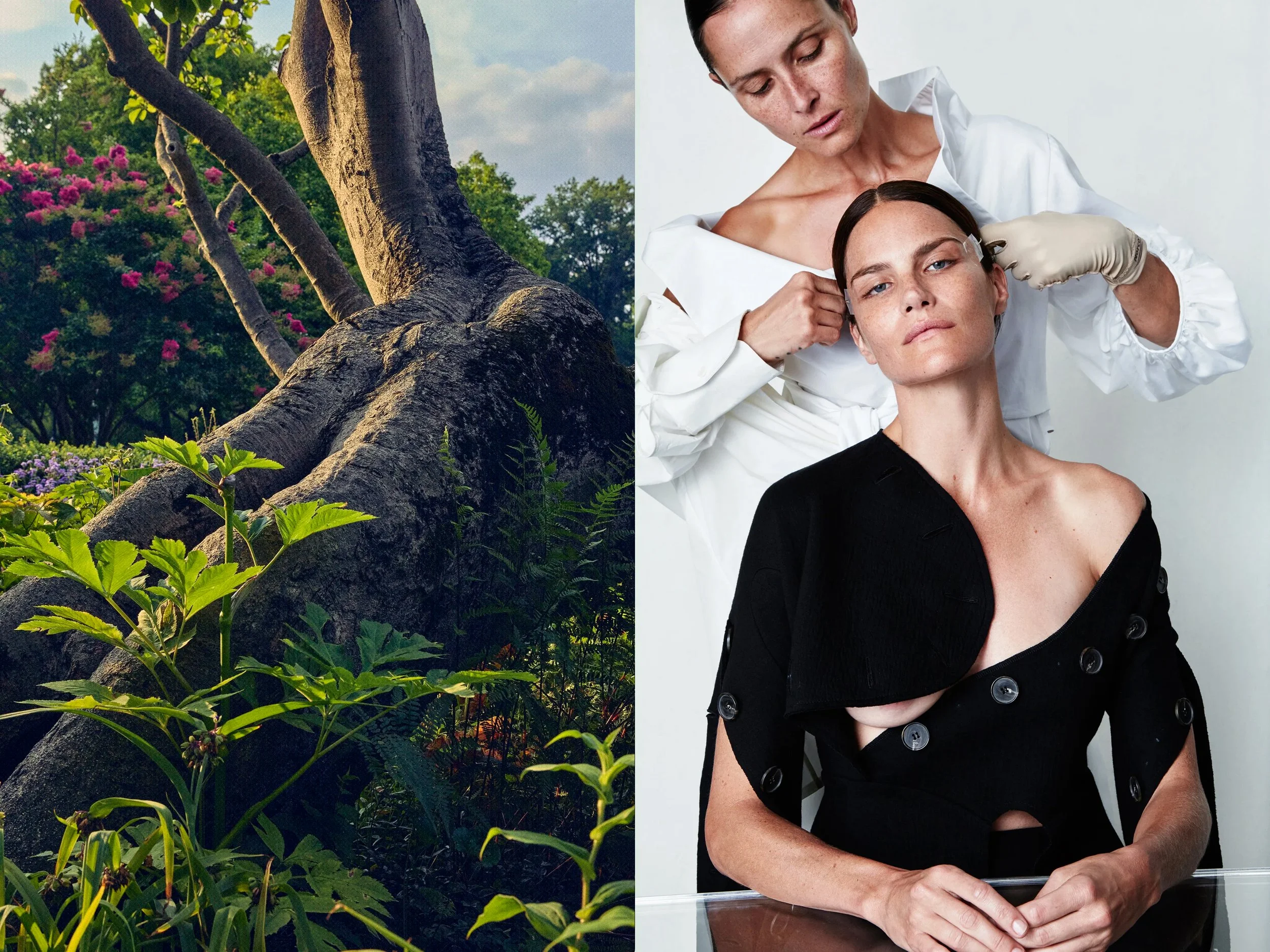 AllureScience_diptych_4.2+solo + CPStretchingTreeProfile2 copy.jpg