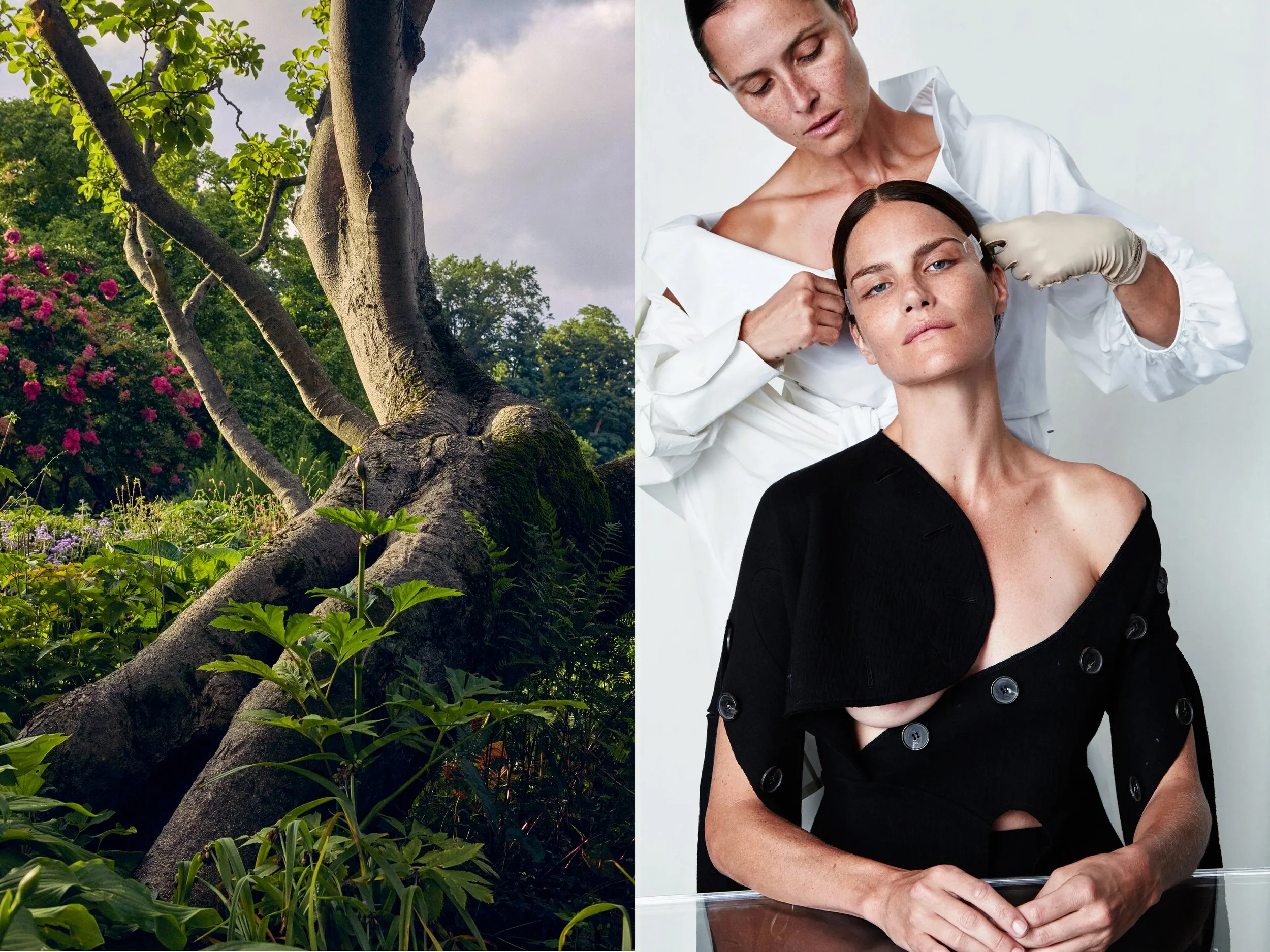 AllureScience_diptych_4.2+solo + CPStretchingTreeProfile copy.jpg