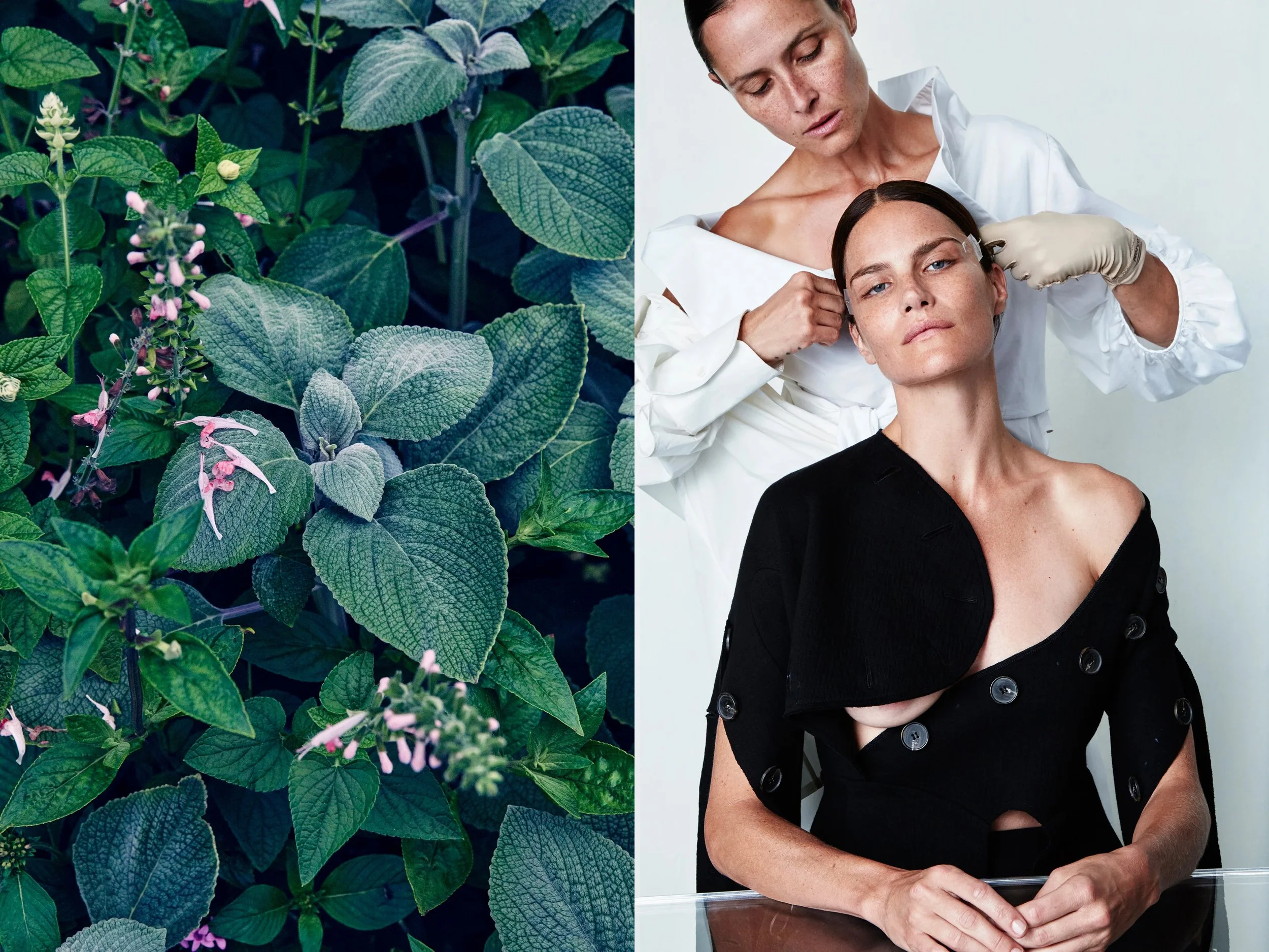 AllureScience_diptych_4.2+solo + PinkPetalsFrostyGreenery copy.jpg