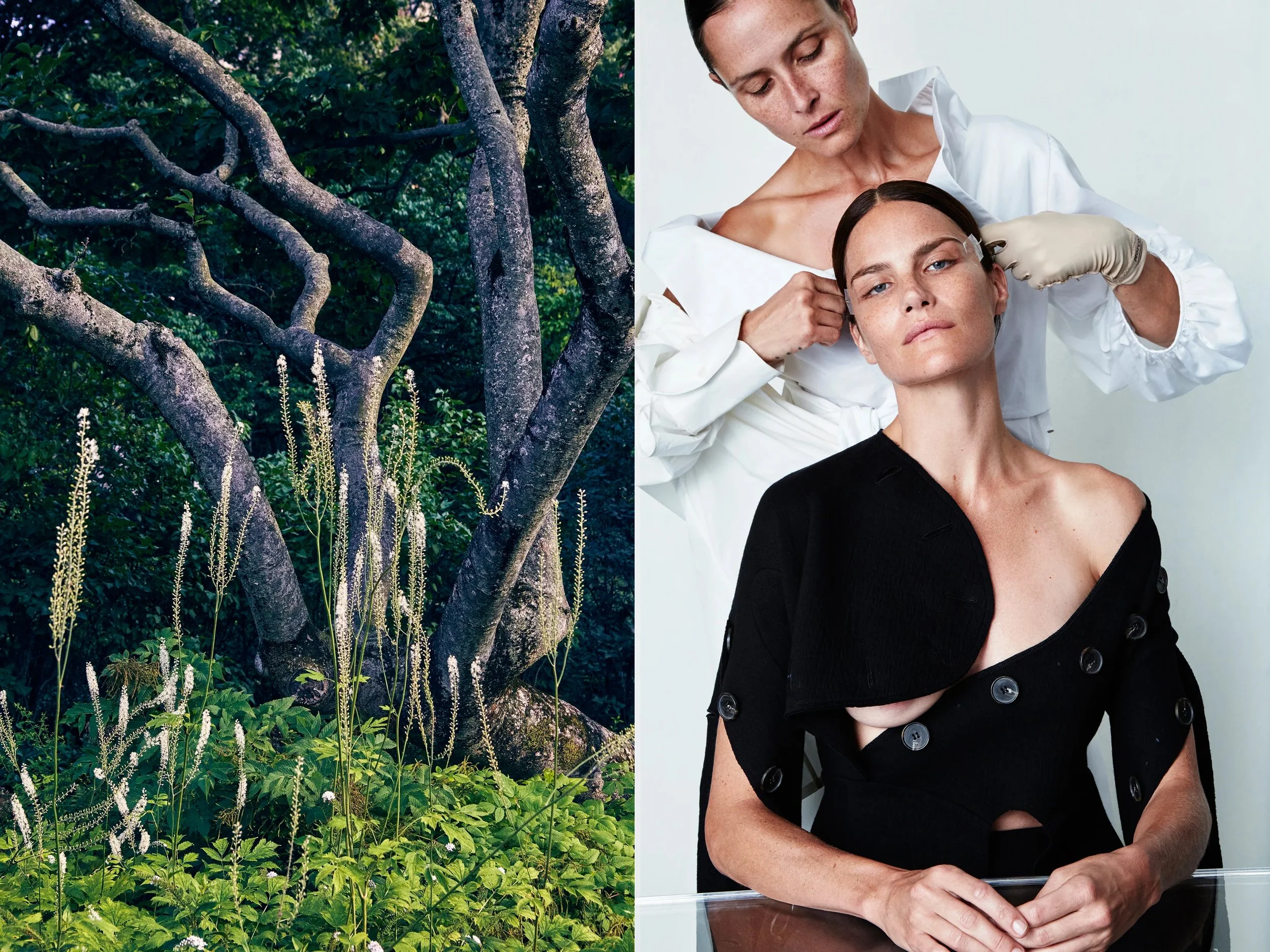 AllureScience_diptych_4.2+solo + SlitheringReachingSnakePlants copy.jpg