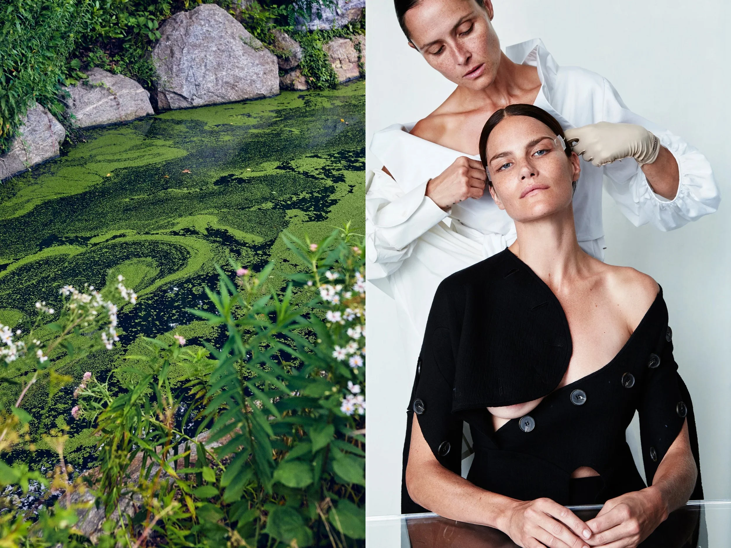 AllureScience_diptych_4.2+solo + CPMoss3 copy.jpg