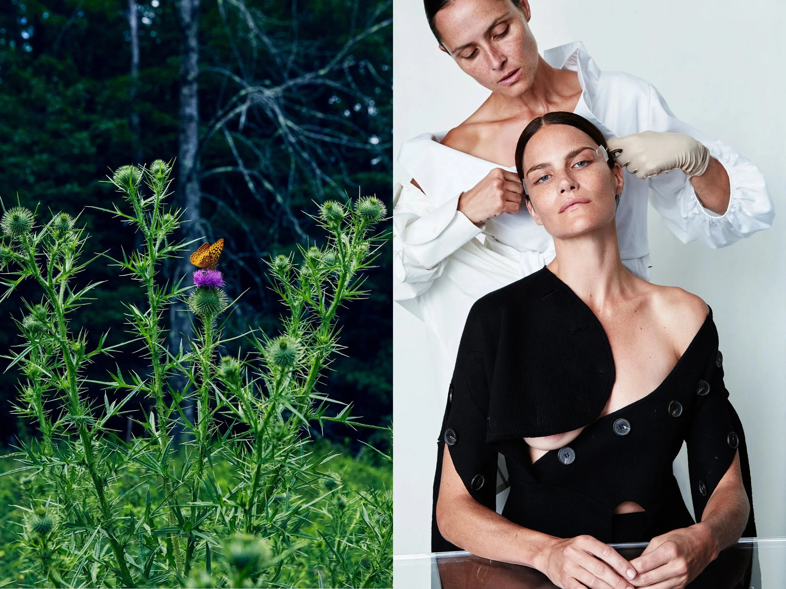 AllureScience_diptych_4.2+solo + LansmansButterflyPurpleFlower.jpg