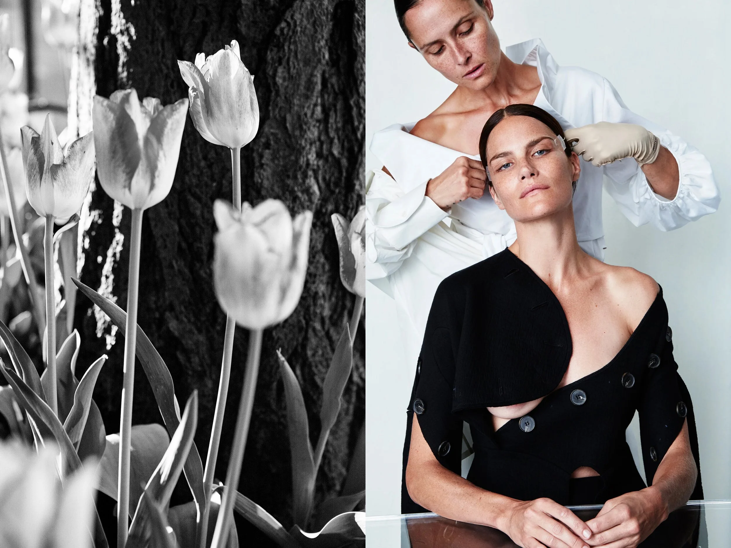AllureScience_diptych_4.2+solo + BW Flowers.jpg