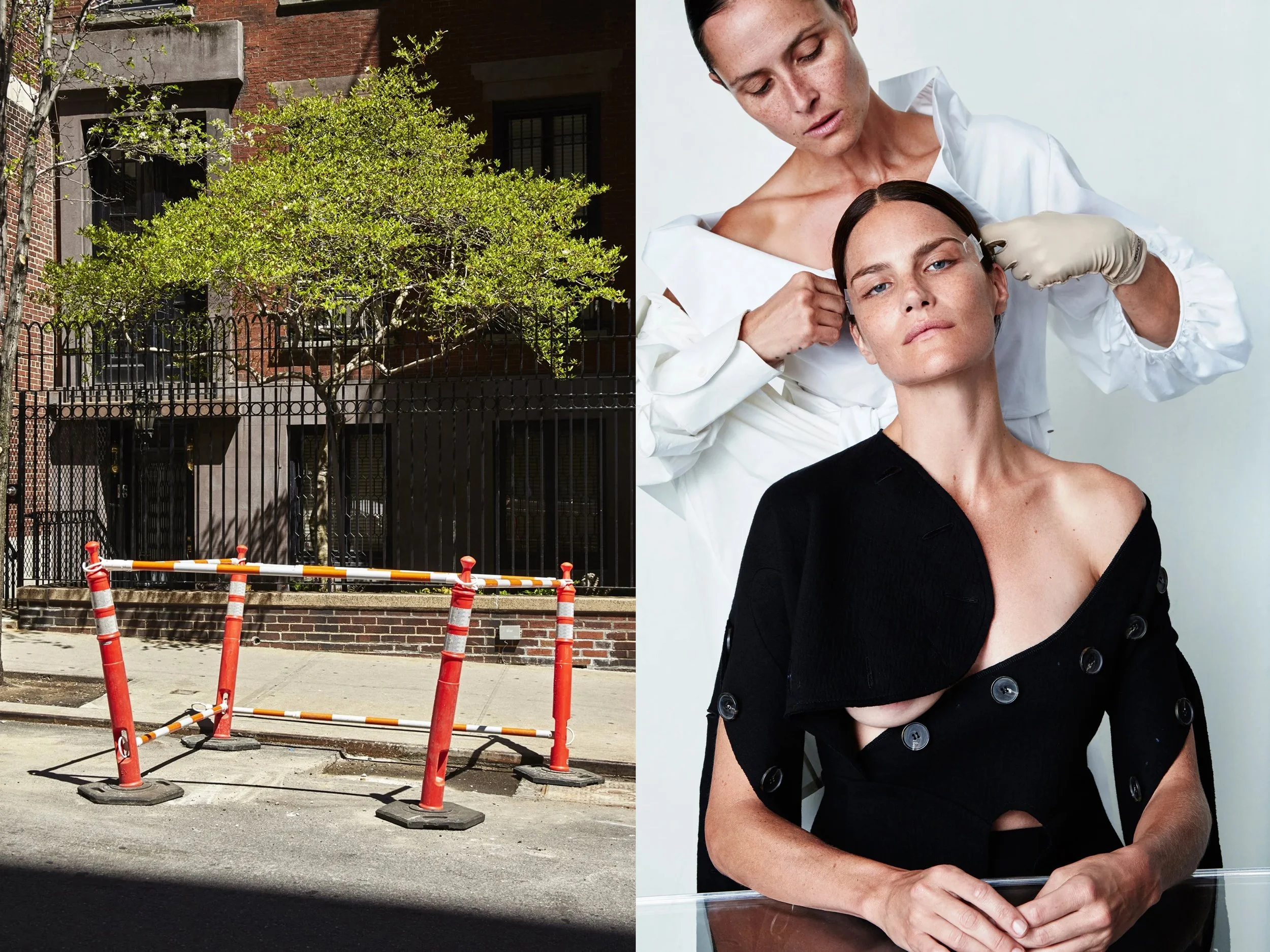 AllureScience_diptych_4.2+solo + TreeCaution.jpg