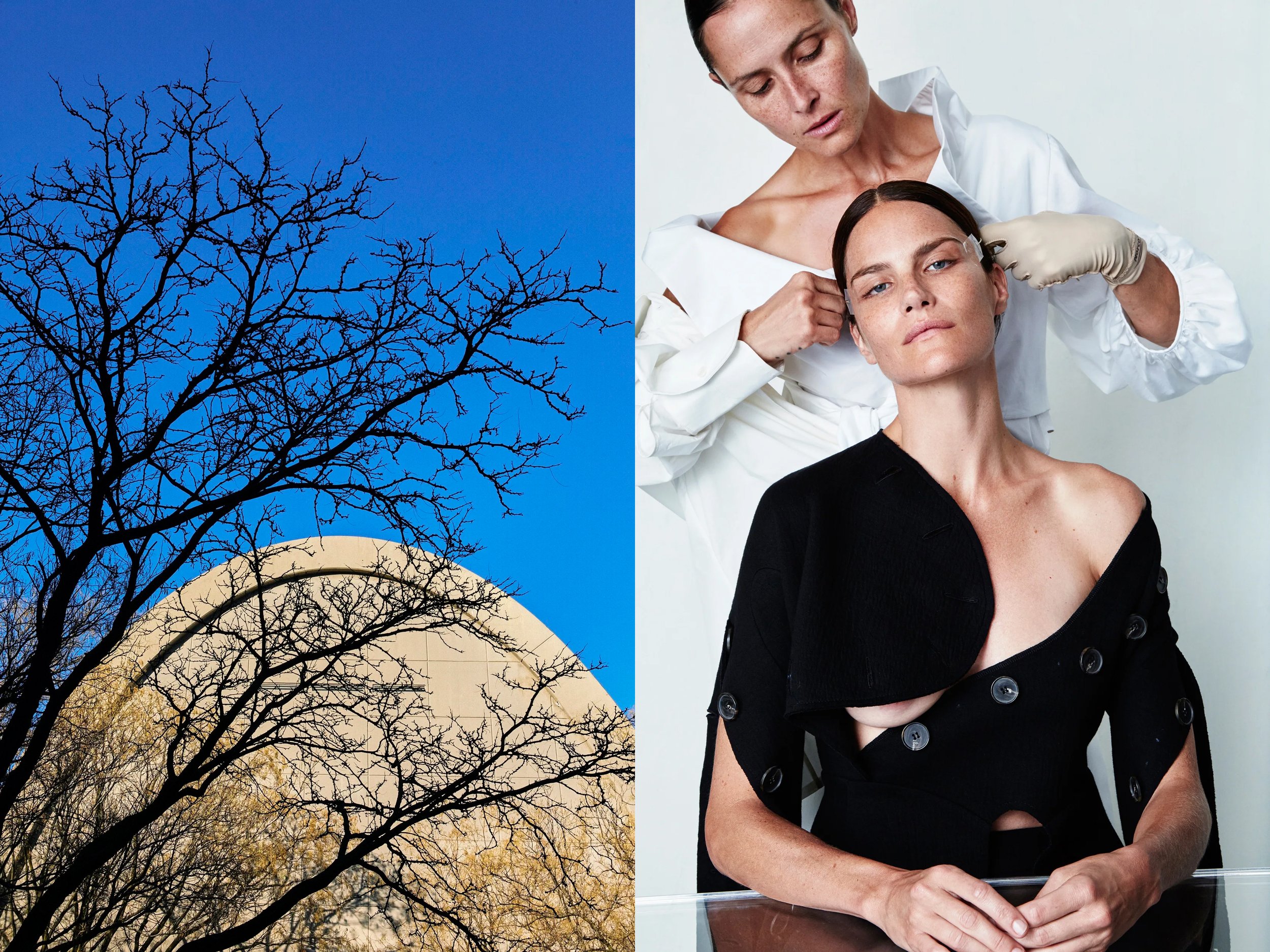 AllureScience_diptych_4.2+solo + BurtonBranchesBlueSkyOval.jpg