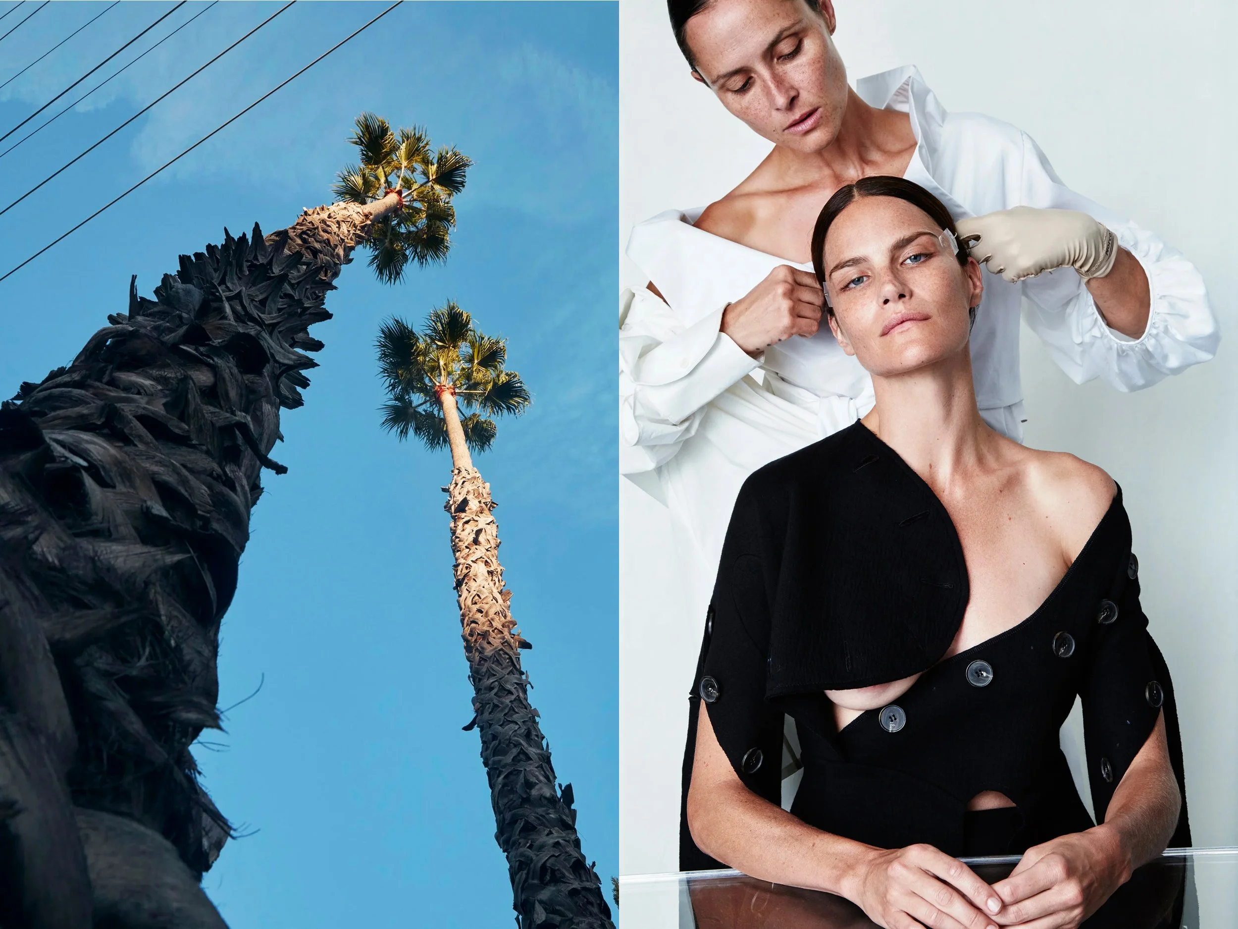 AllureScience_diptych_4.2+solo + PalmTrees copy.jpg