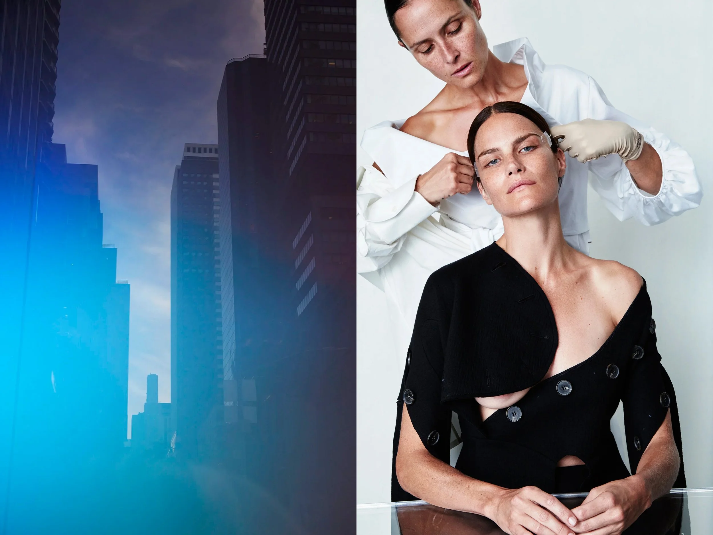 AllureScience_diptych_4.2+solo + BluePurpleSkyline.jpg