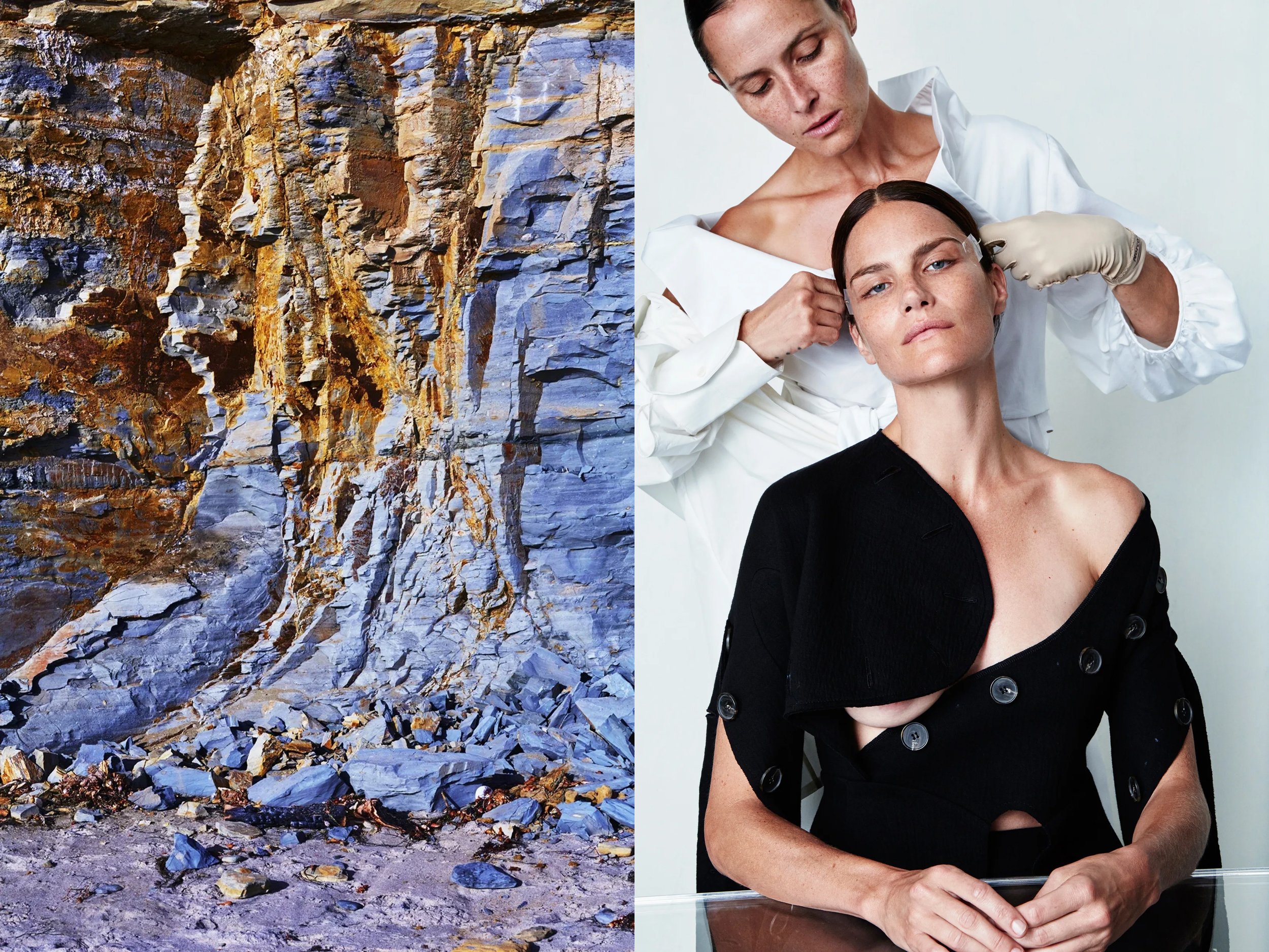 AllureScience_diptych_4.2+solo + CliffsPurpleOrange.jpg