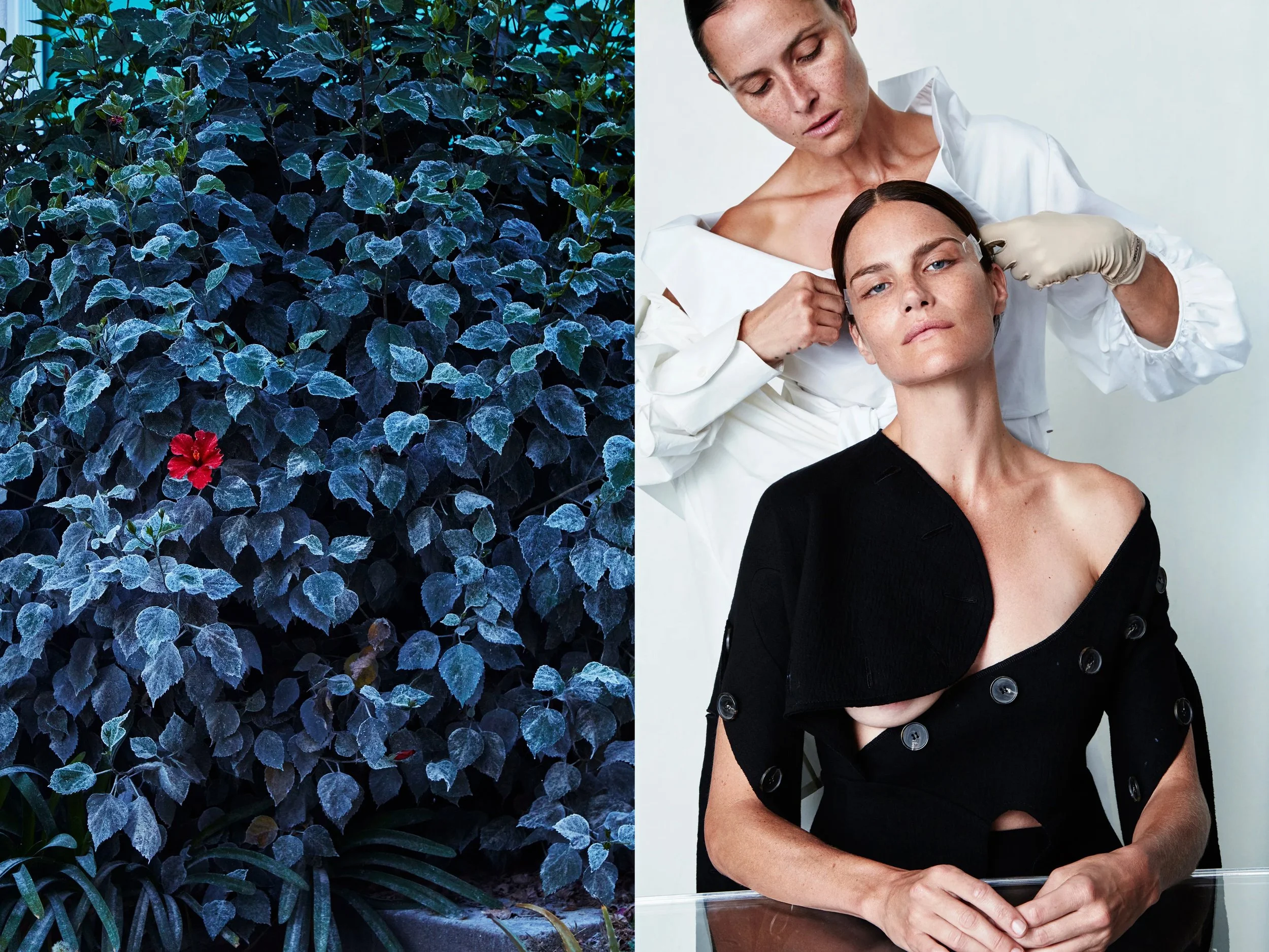 AllureScience_diptych_4.2+solo + BeachwoodFrostyBushRedFlower copy.jpg
