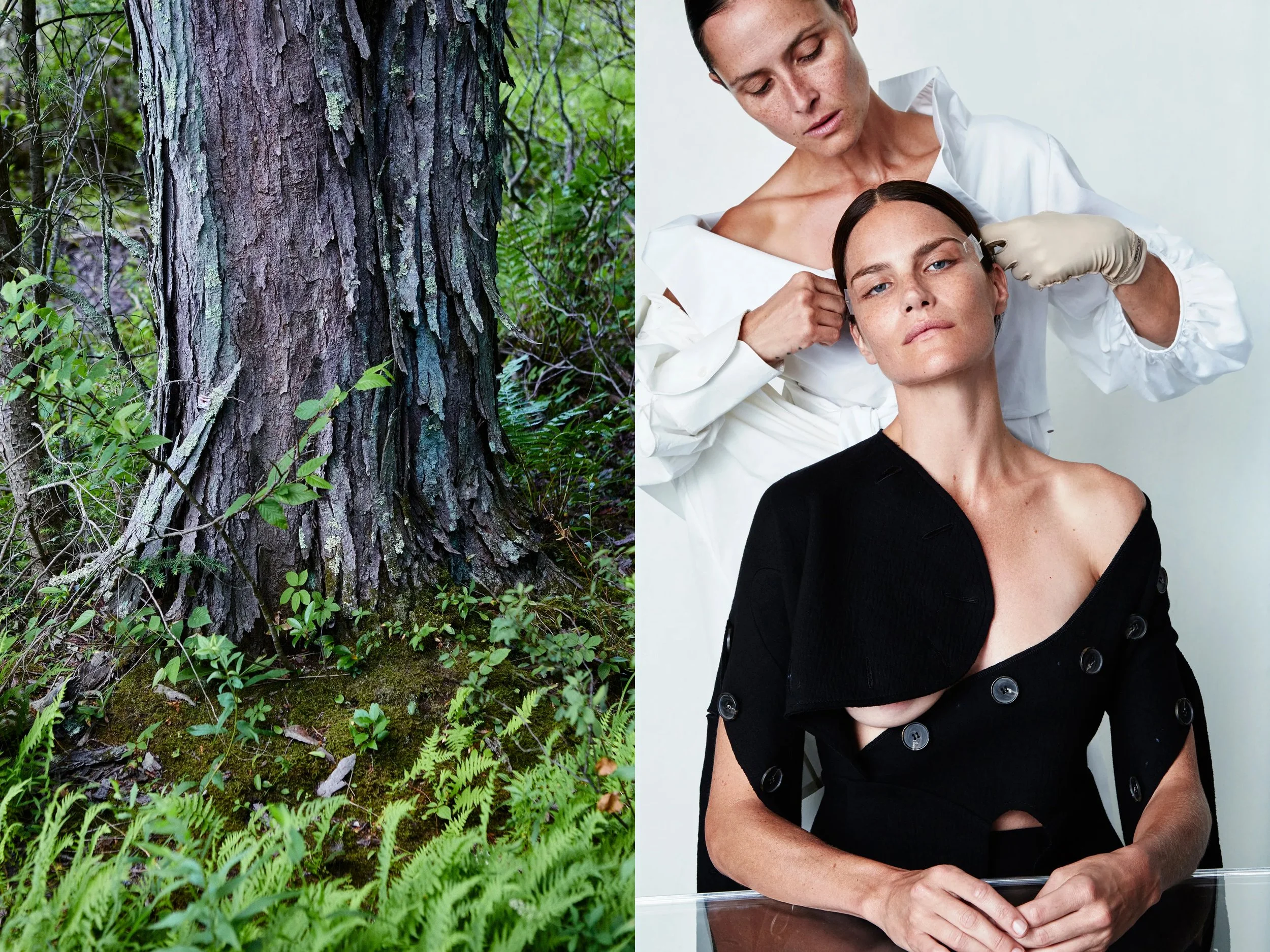 AllureScience_diptych_4.2+solo + Lansmans Tree Bark 1 copy.jpg