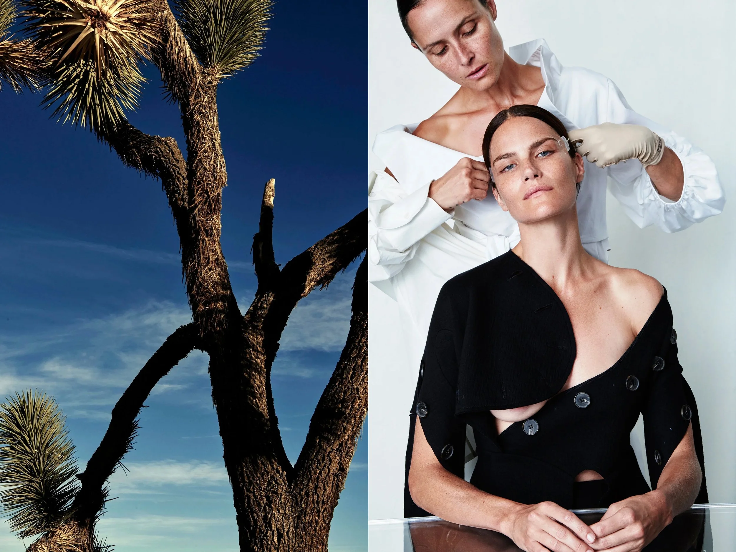 AllureScience_diptych_4.2+solo + JoshuaTree.jpg