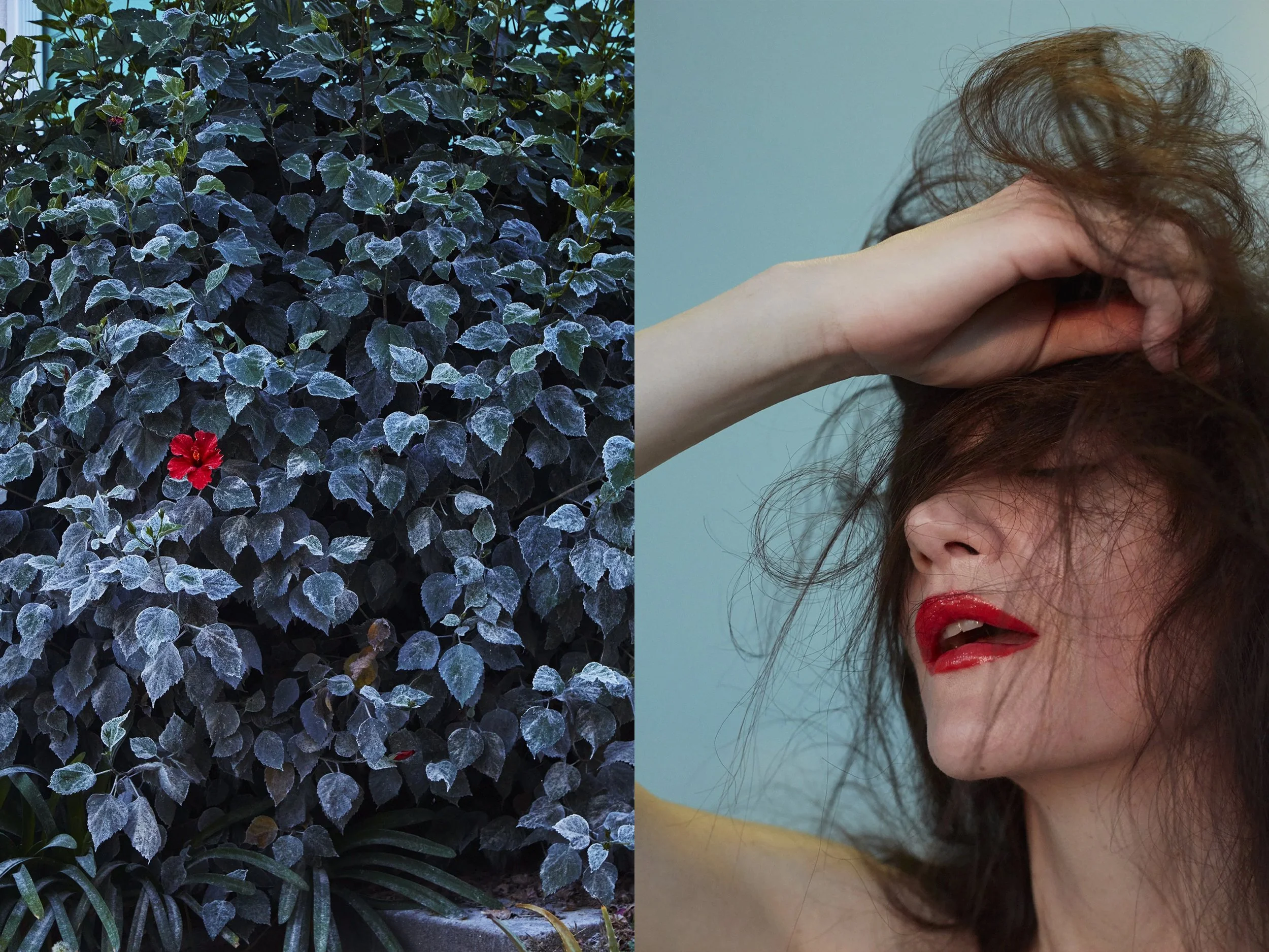 BlueBushBeachwoodRedFlowers + Missy Red Lip2 warmer copy.jpg