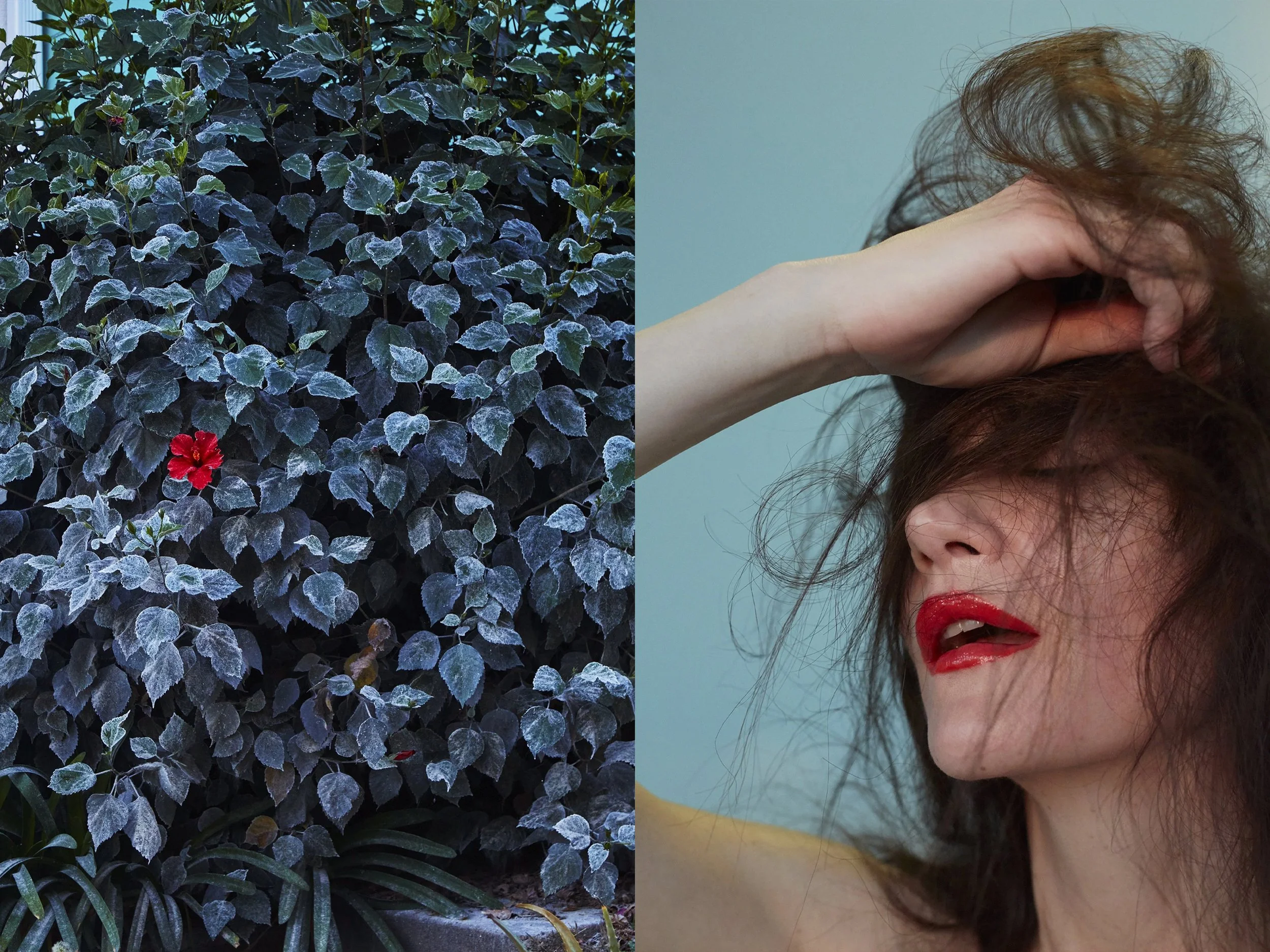 BlueBushBeachwoodRedFlowers + Missy Red Lip2 lighter copy.jpg