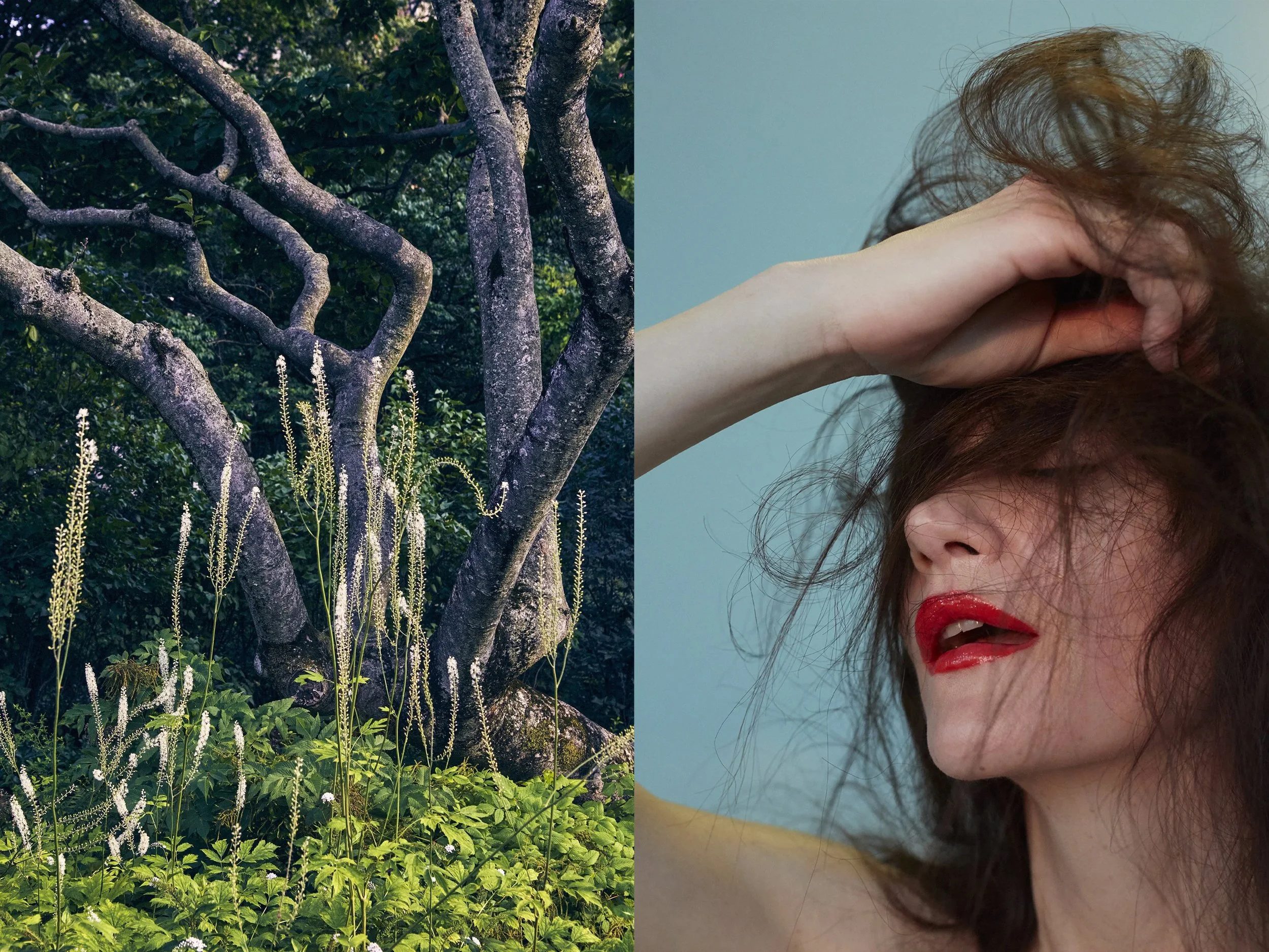ReachingSliteringSnakePlantFlowers + Missy Red Lip2 warmer copy.jpg