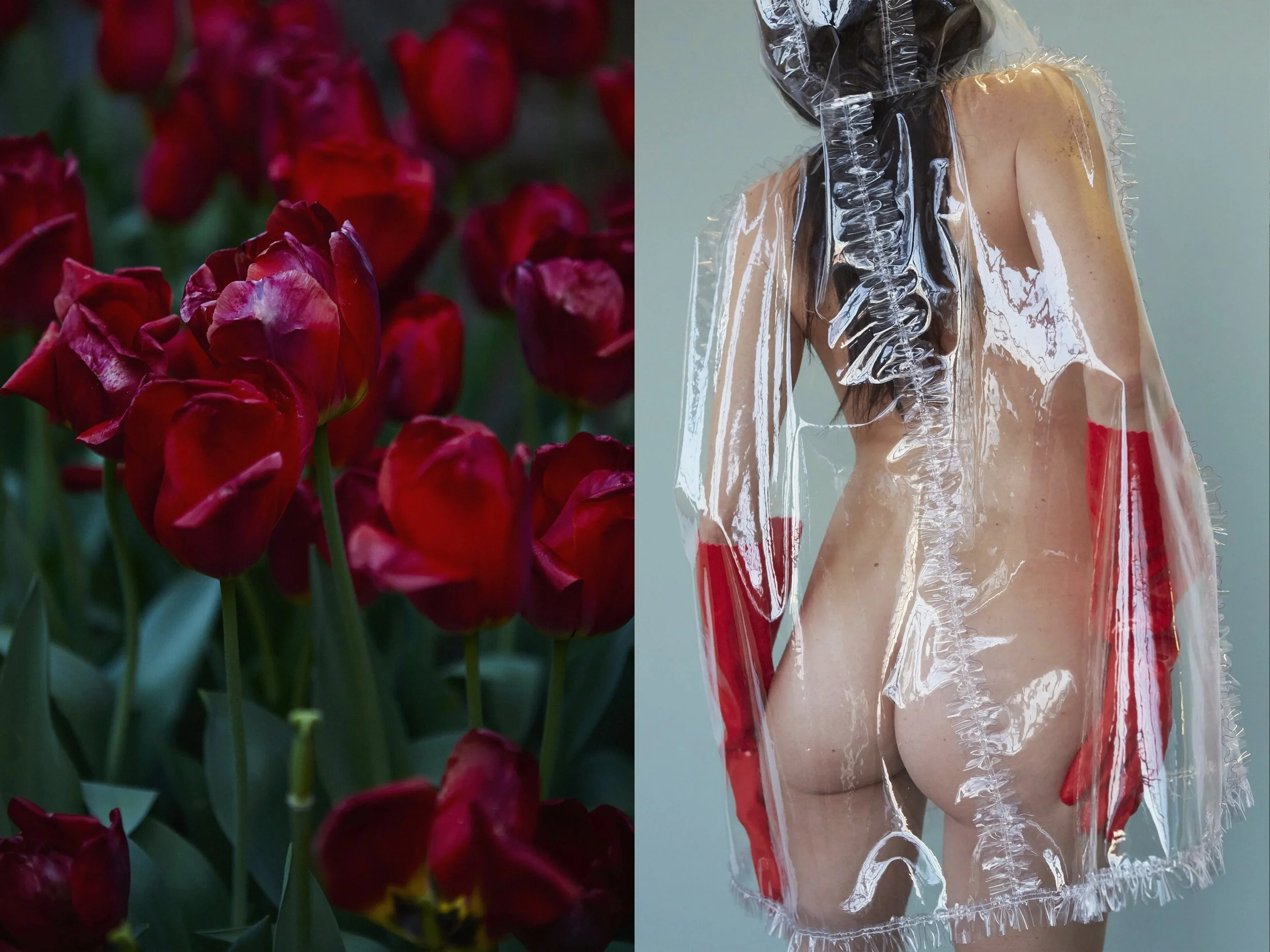 DeepRedFlowers + Missy RedGloves copy.jpg