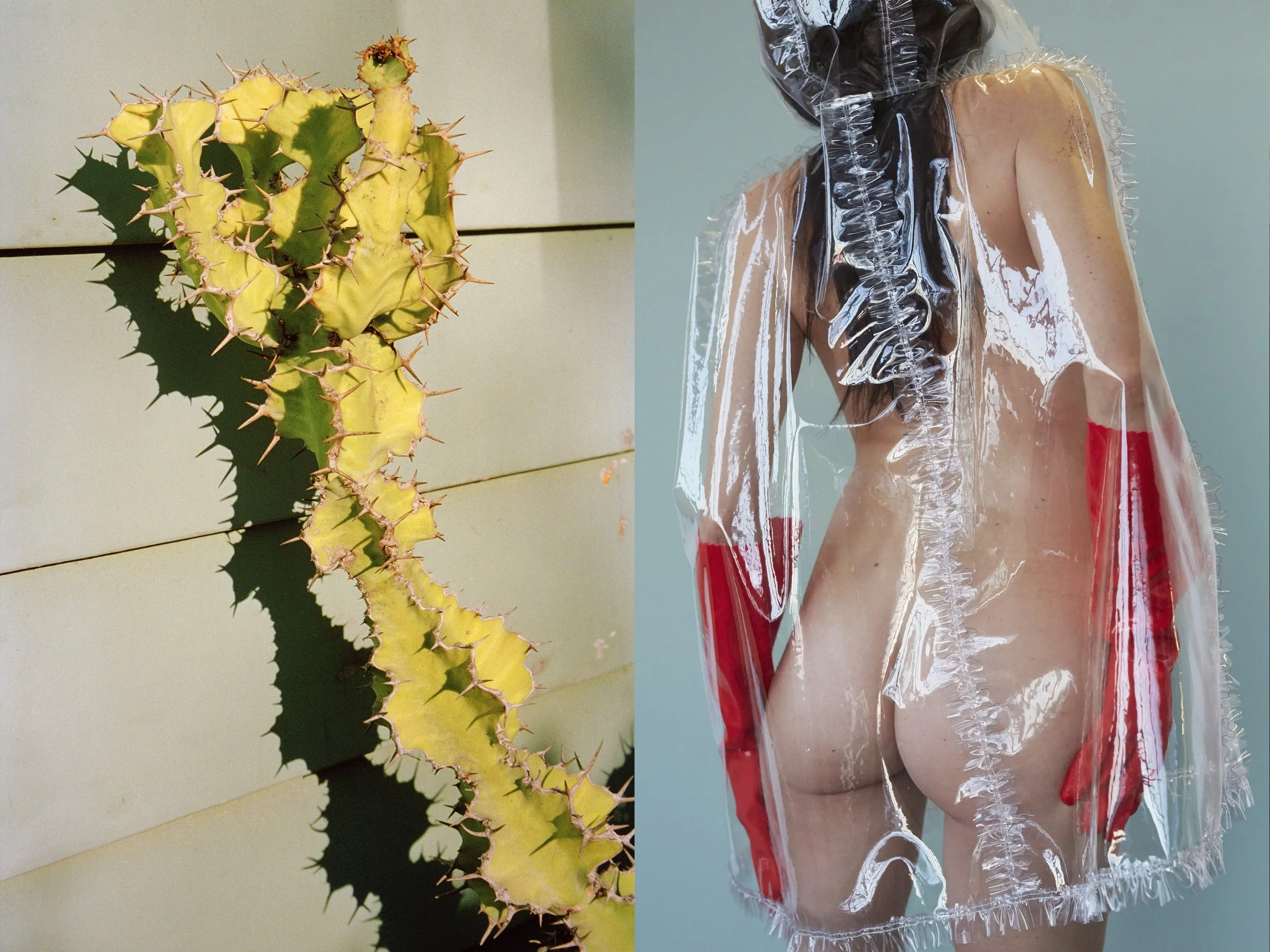 Cactus + Missy RedGloves copy.jpg