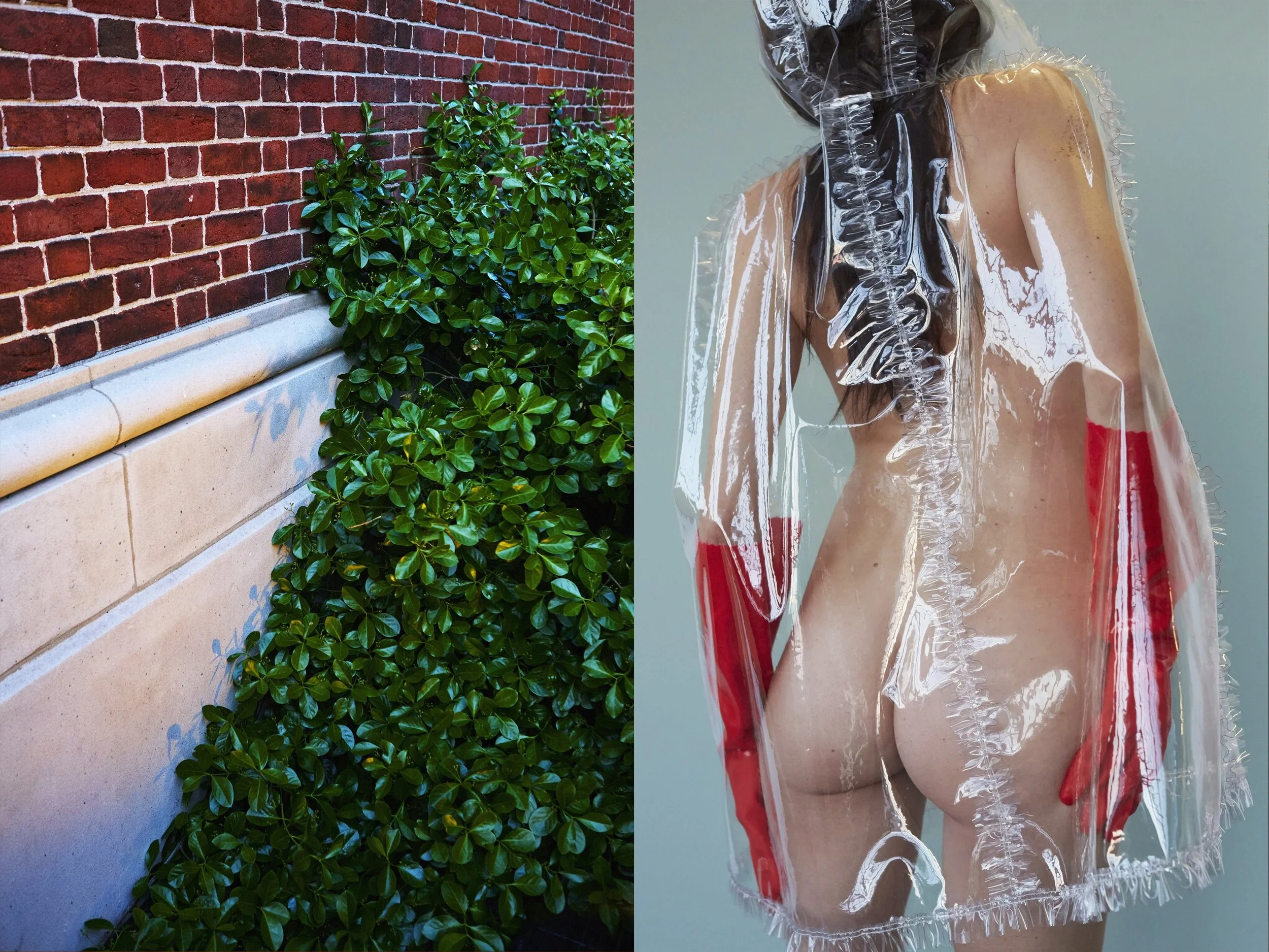 TriadBush + Missy RedGloves copy.jpg