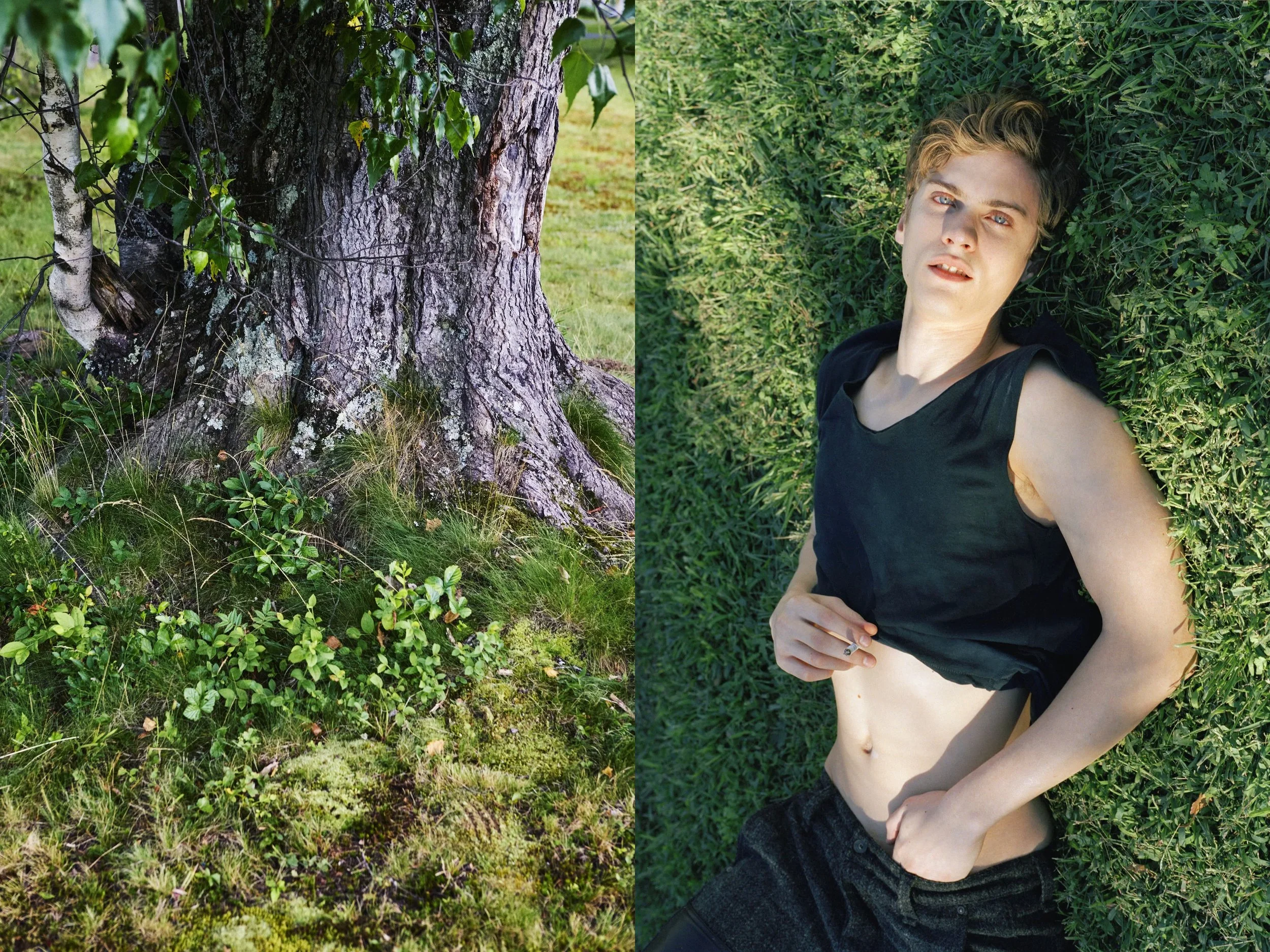 AJ Green Grass + Lansmans Tree roots copy.jpg