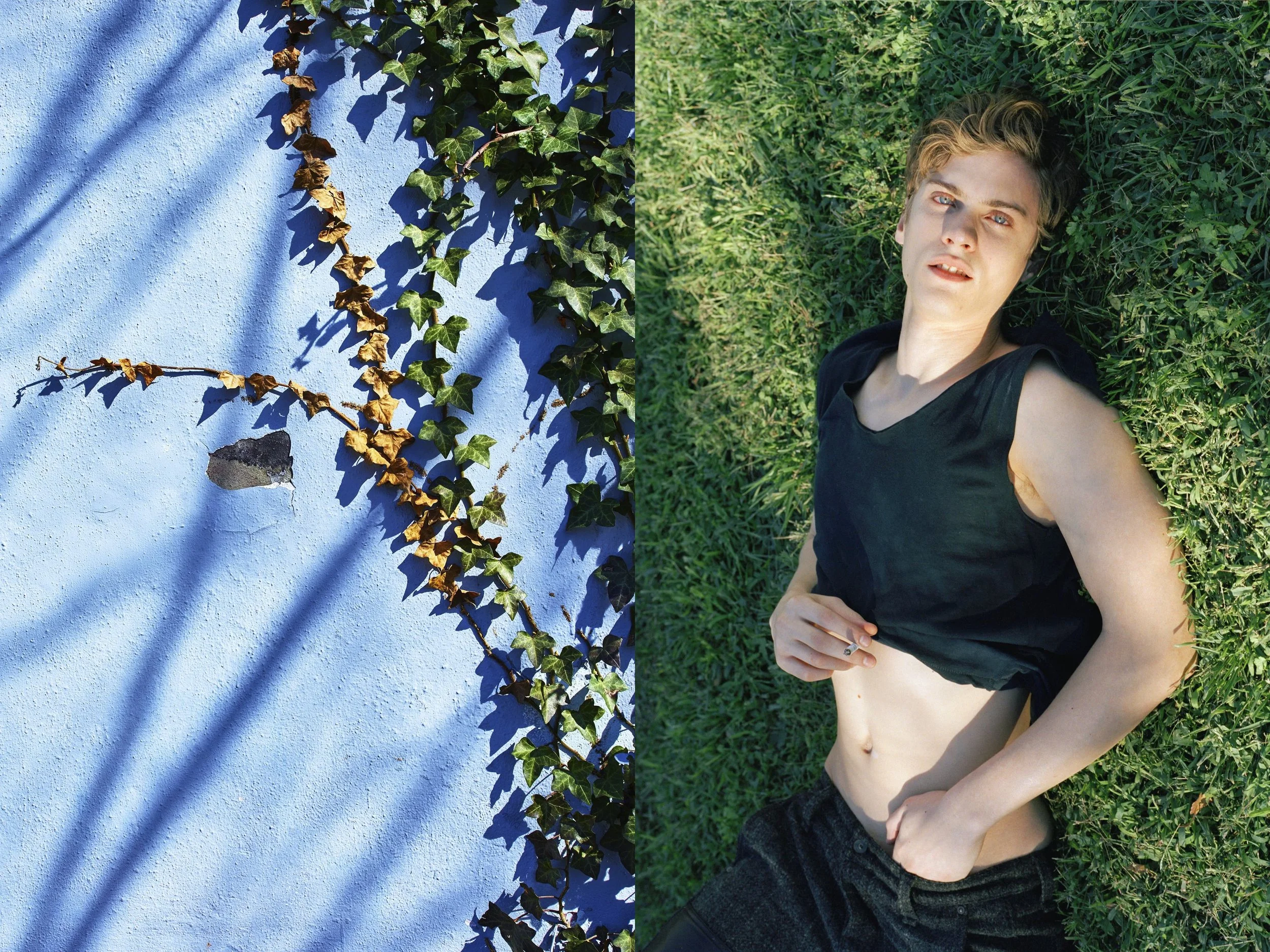AJ Green Grass + Ivy Periwinkle Wall.jpg