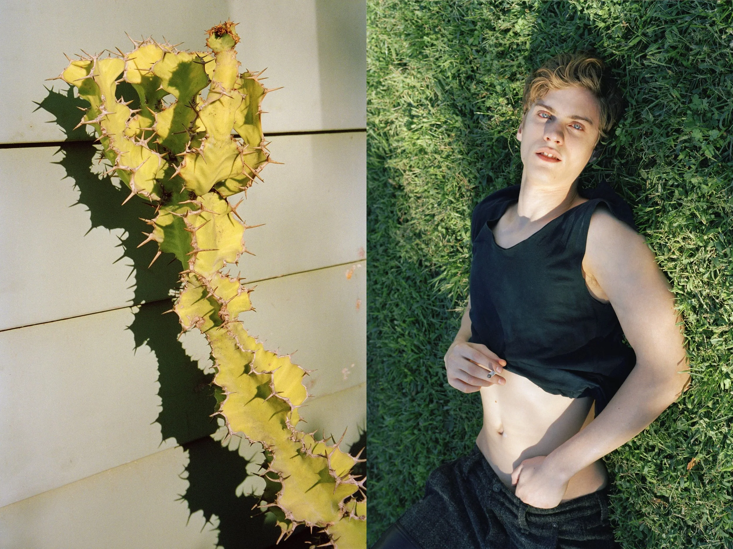 AJ Green Grass + Cactus copy.jpg