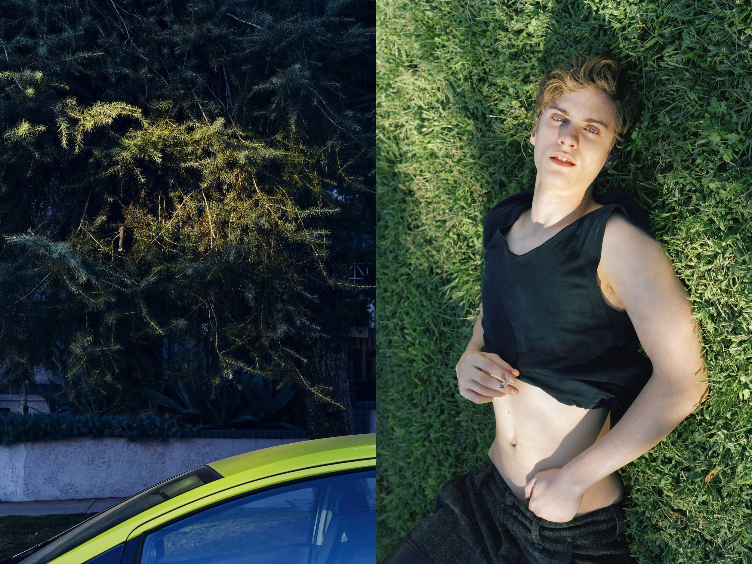AJ Green Grass + Light beam on greenery Beachwood yellow car copy.jpg
