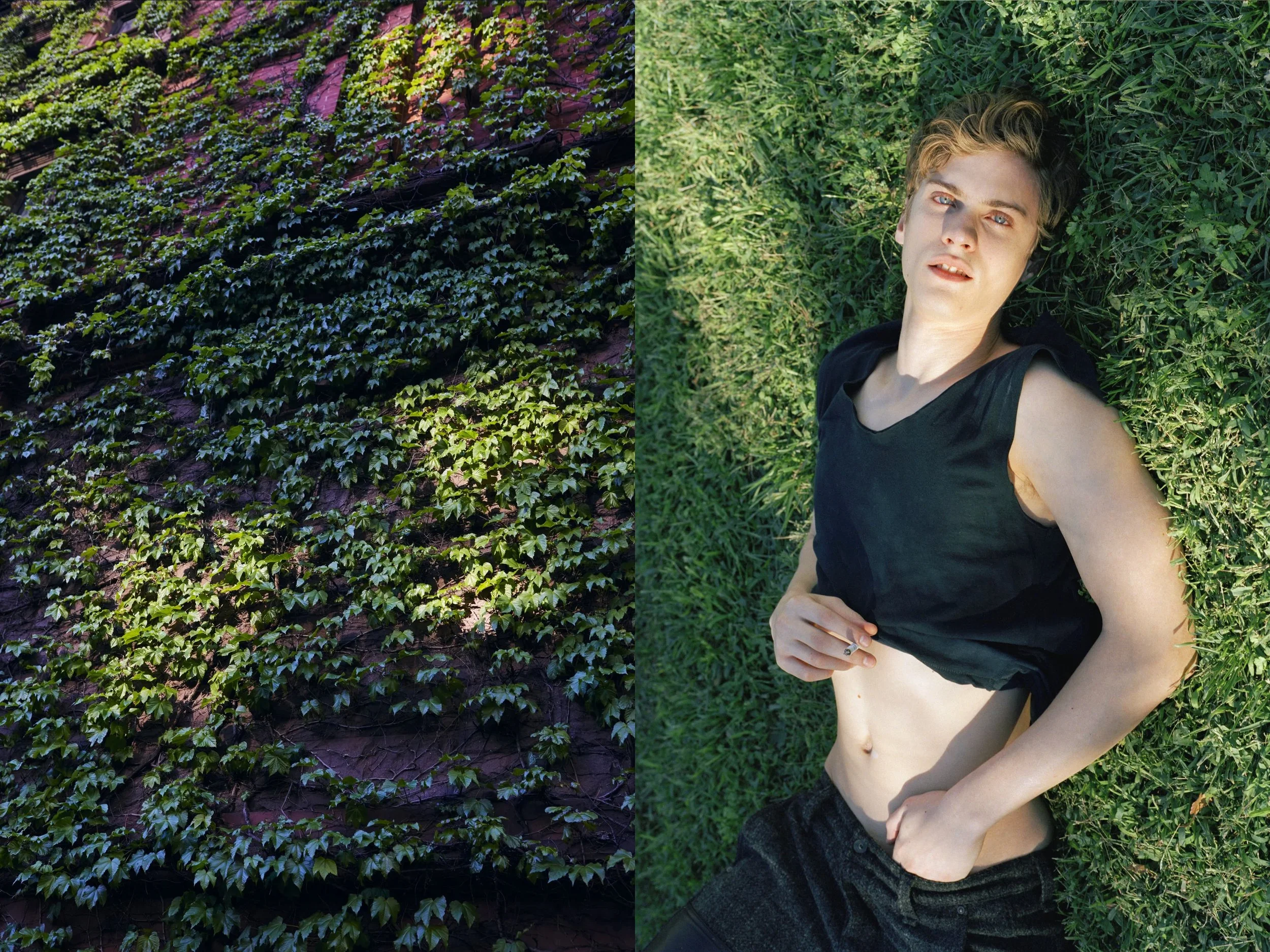 AJ Green Grass + Ivy Wall copy.jpg
