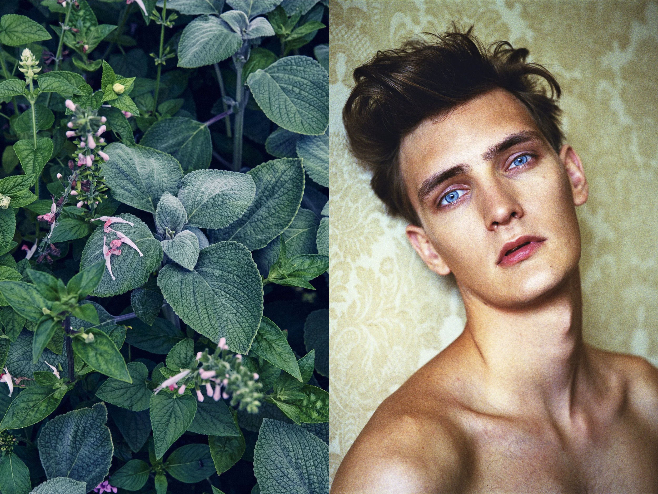 Yannick + PinkPetalsFrostyGreenery copy.jpg