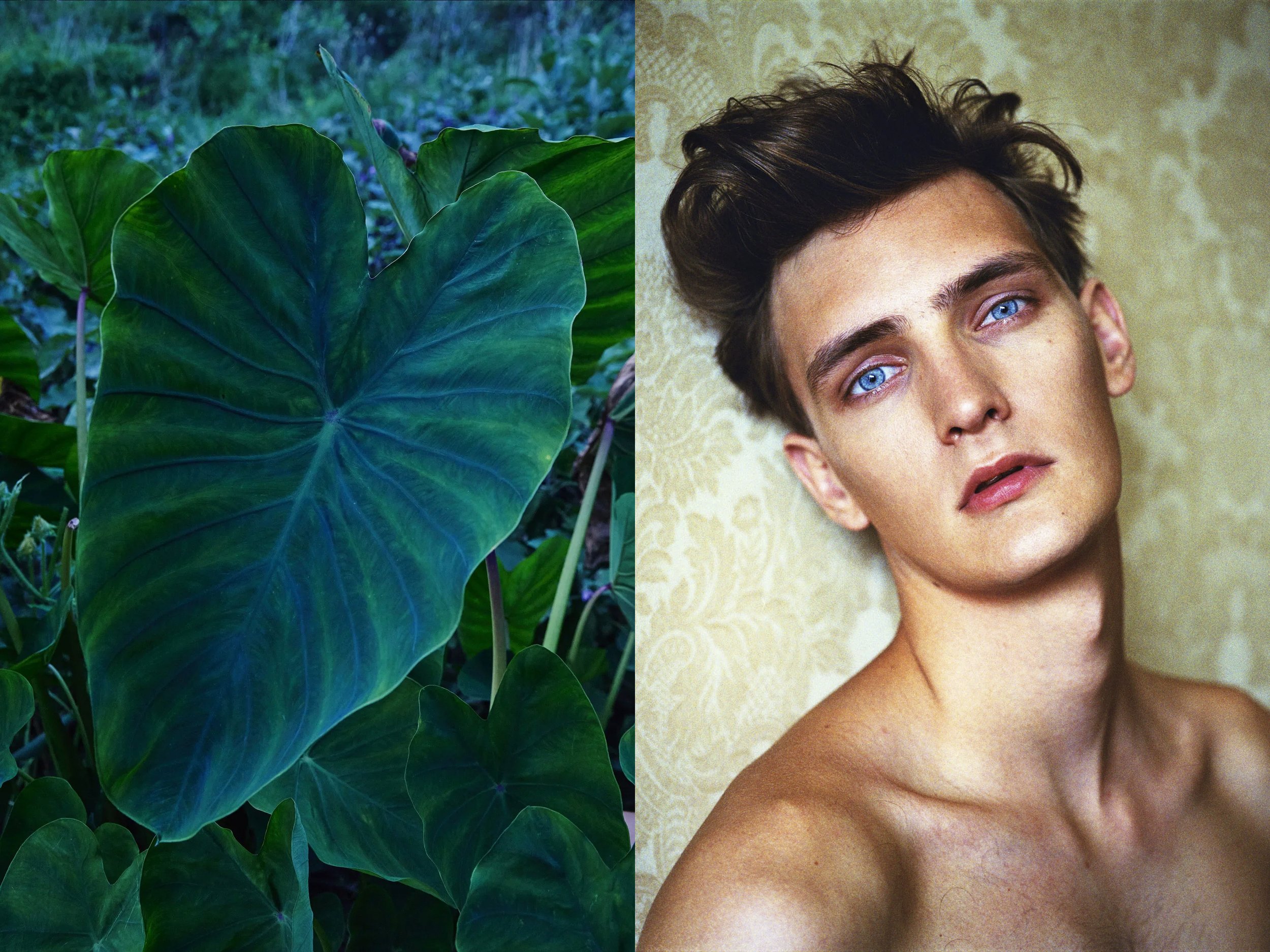 Yannick + VW Green taro copy.jpg
