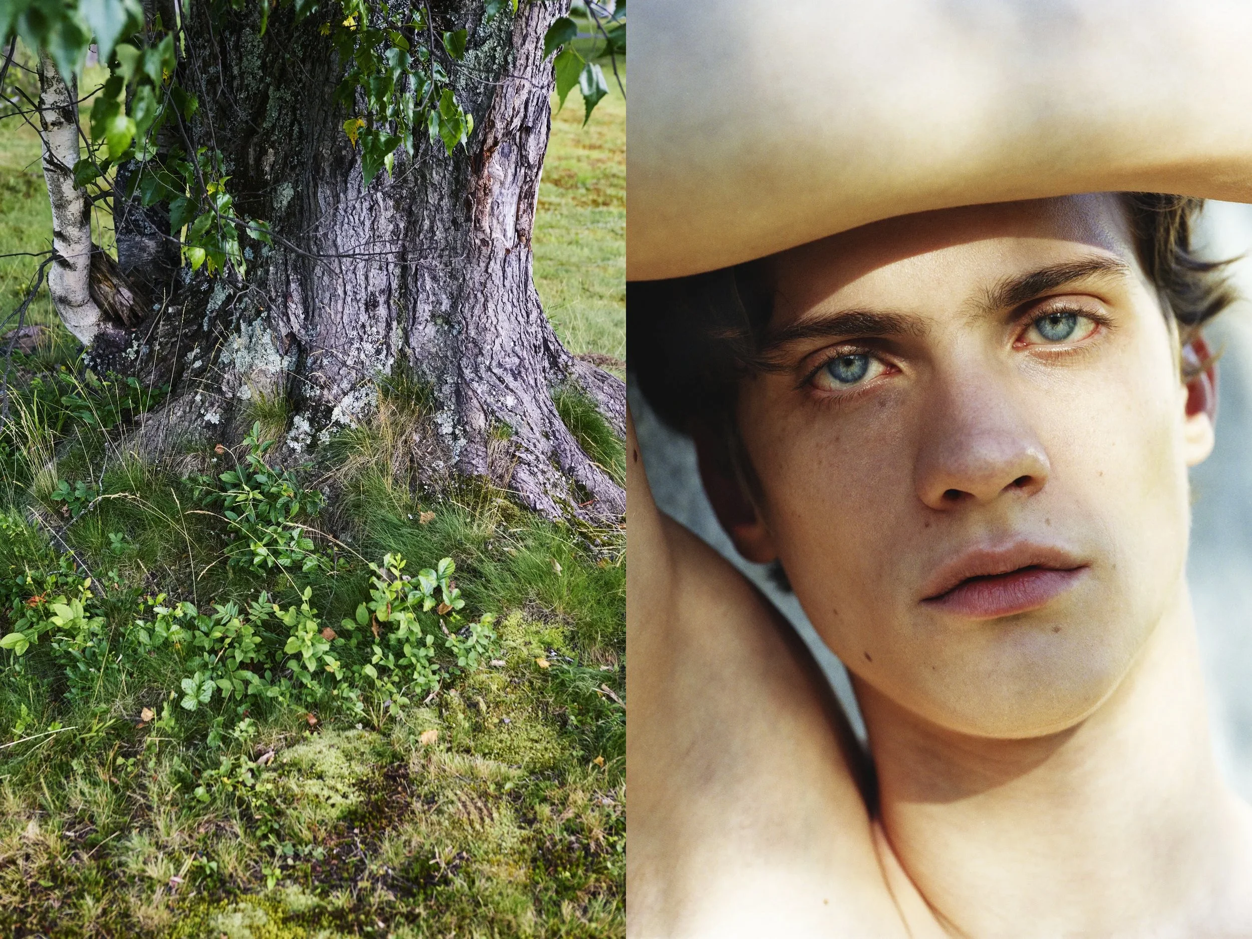 AJ Portrait DIPTYCHS + Lansmans Tree Root copy.jpg