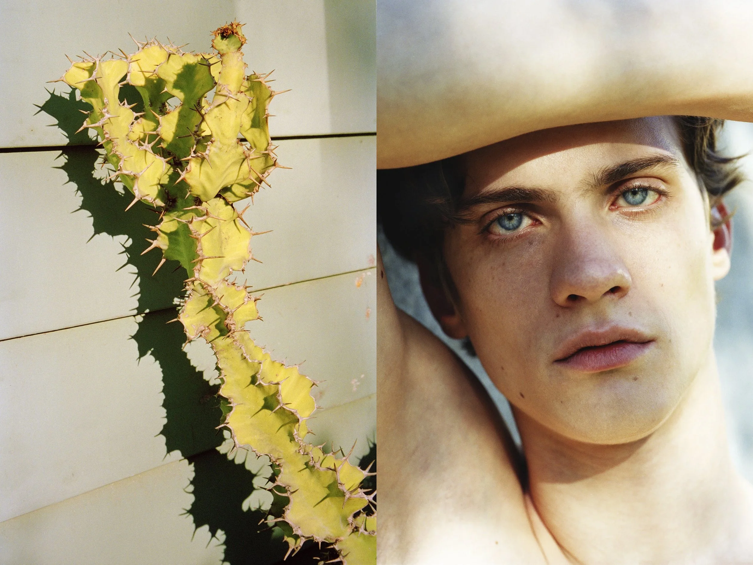 AJ Portrait DIPTYCHS + Tomo Cactus copy.jpg