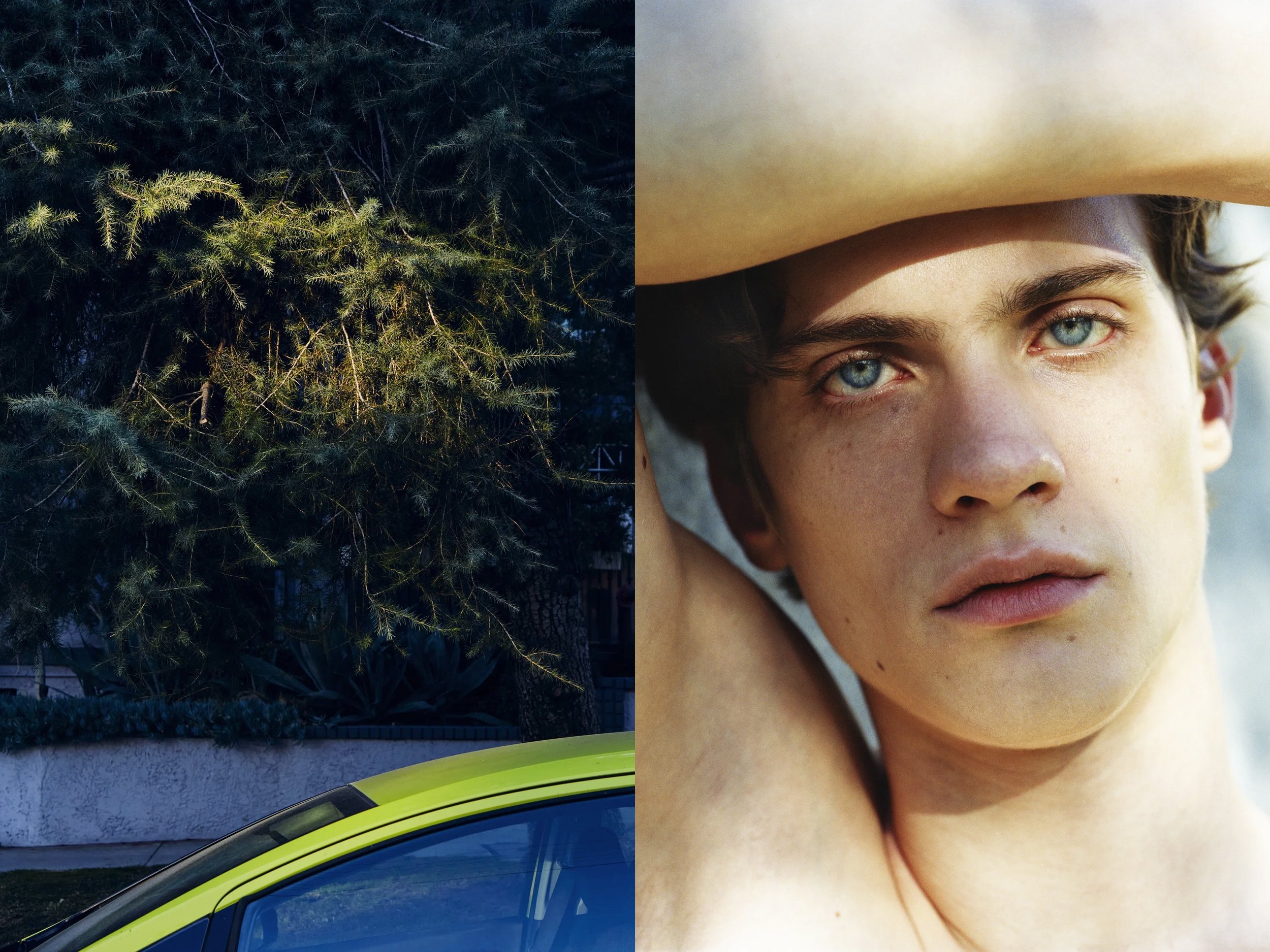 AJ Portrait DIPTYCHS + Beachwood Greenery Light pocket Yellow Car copy.jpg