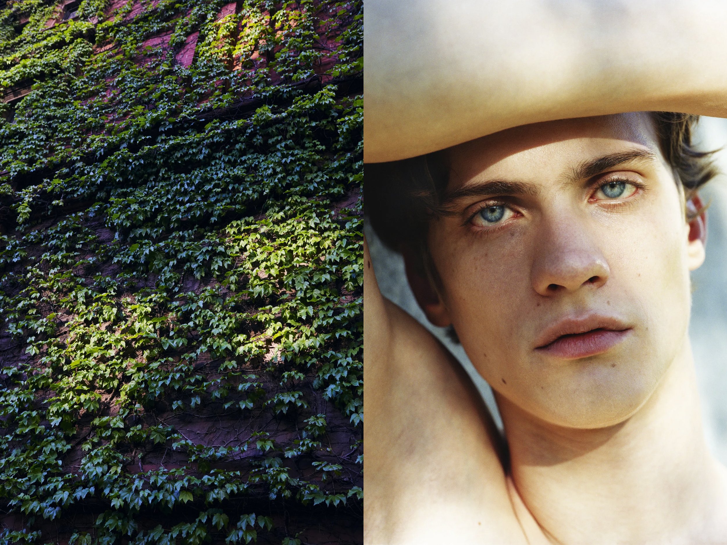 AJ Portrait DIPTYCHS + IvyWall copy.jpg