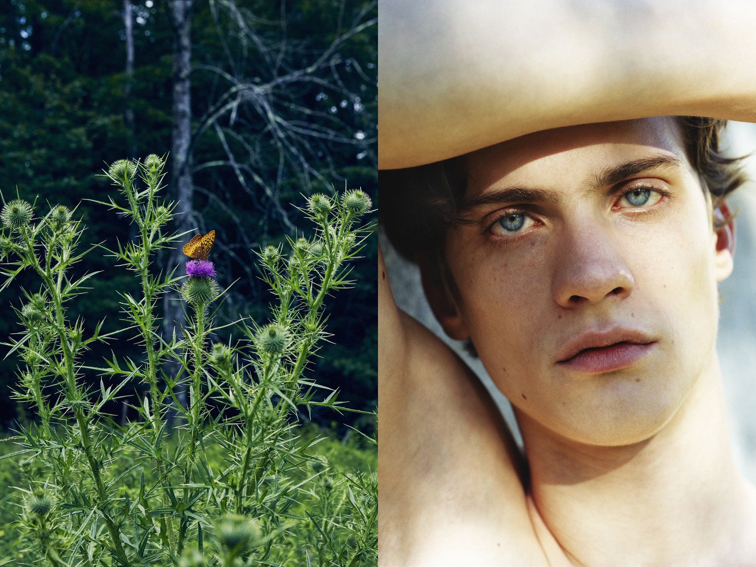AJ Portrait DIPTYCHS + Lansmans Butterfly Purple Flower copy.jpg