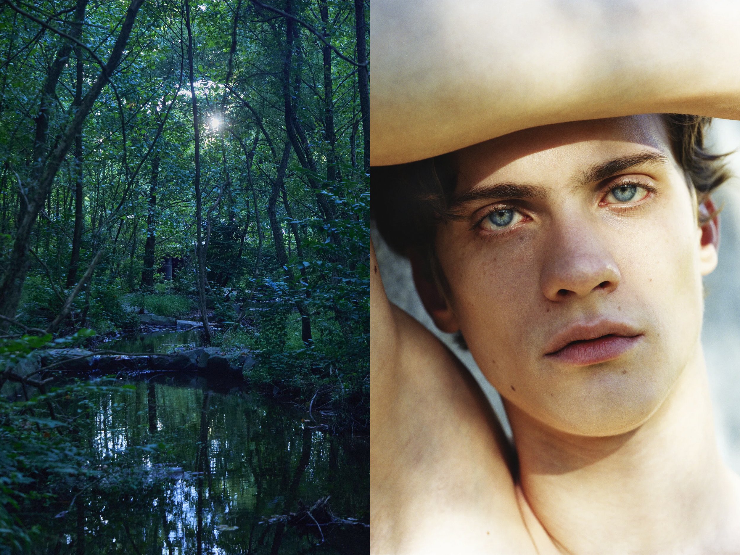 AJ Portrait DIPTYCHS + VW Forest copy.jpg
