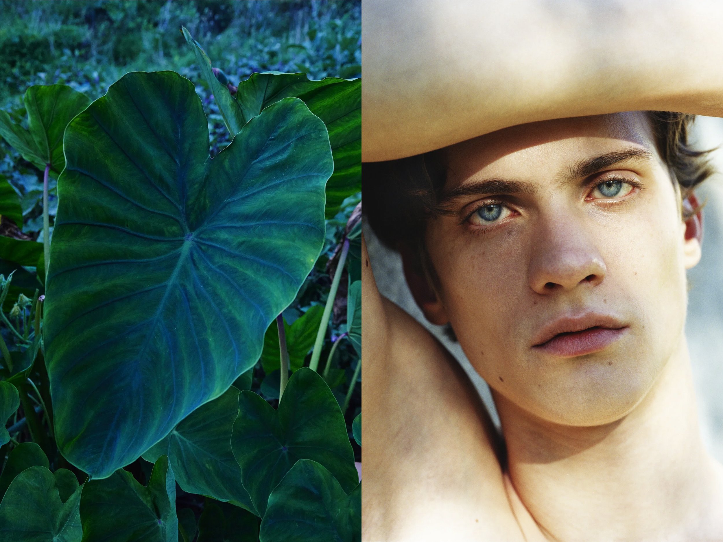 AJ Portrait DIPTYCHS + VW Green Taro copy.jpg