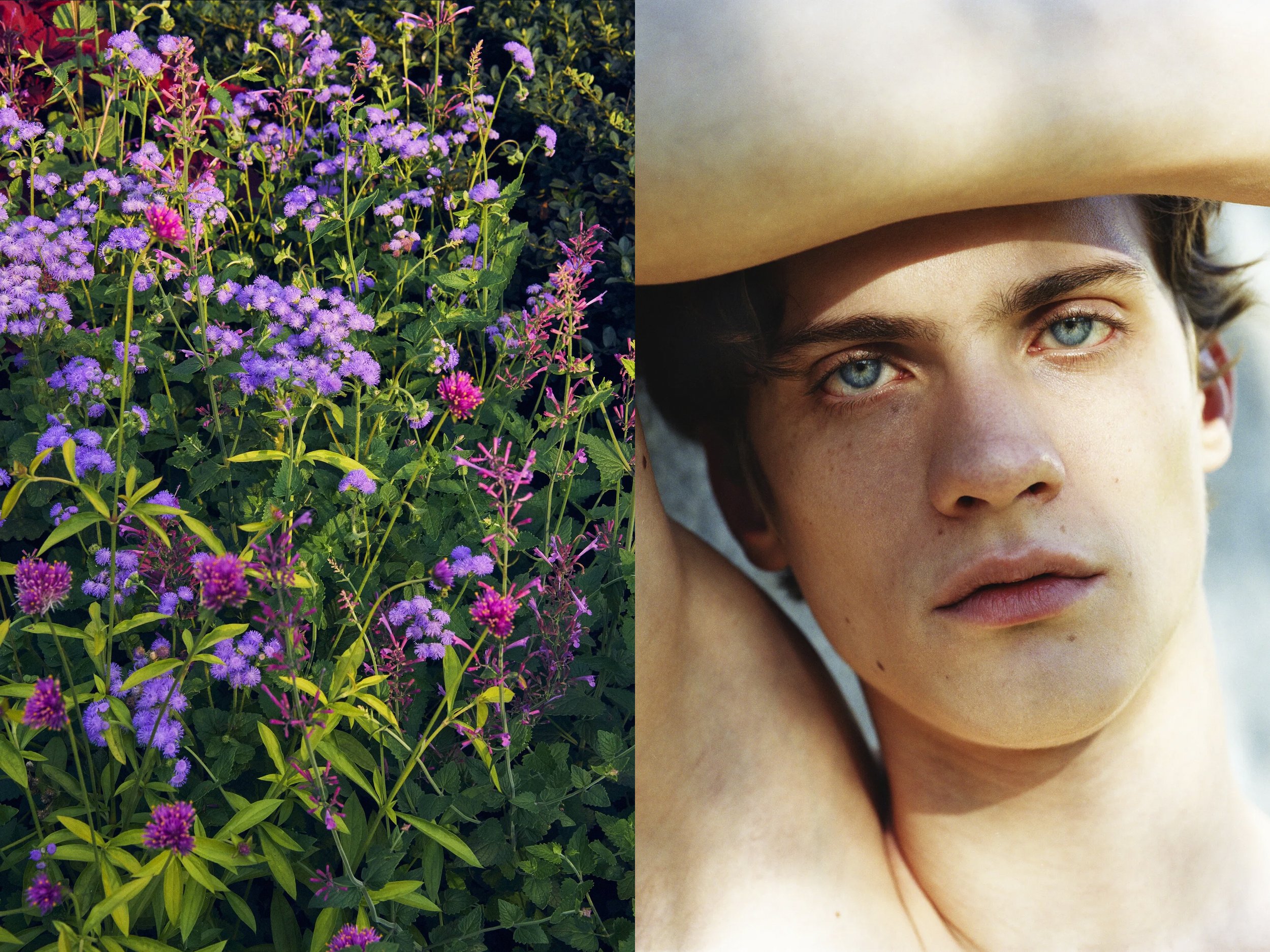 AJ Portrait DIPTYCHS + CP EnchantedFlowersPastels copy.jpg