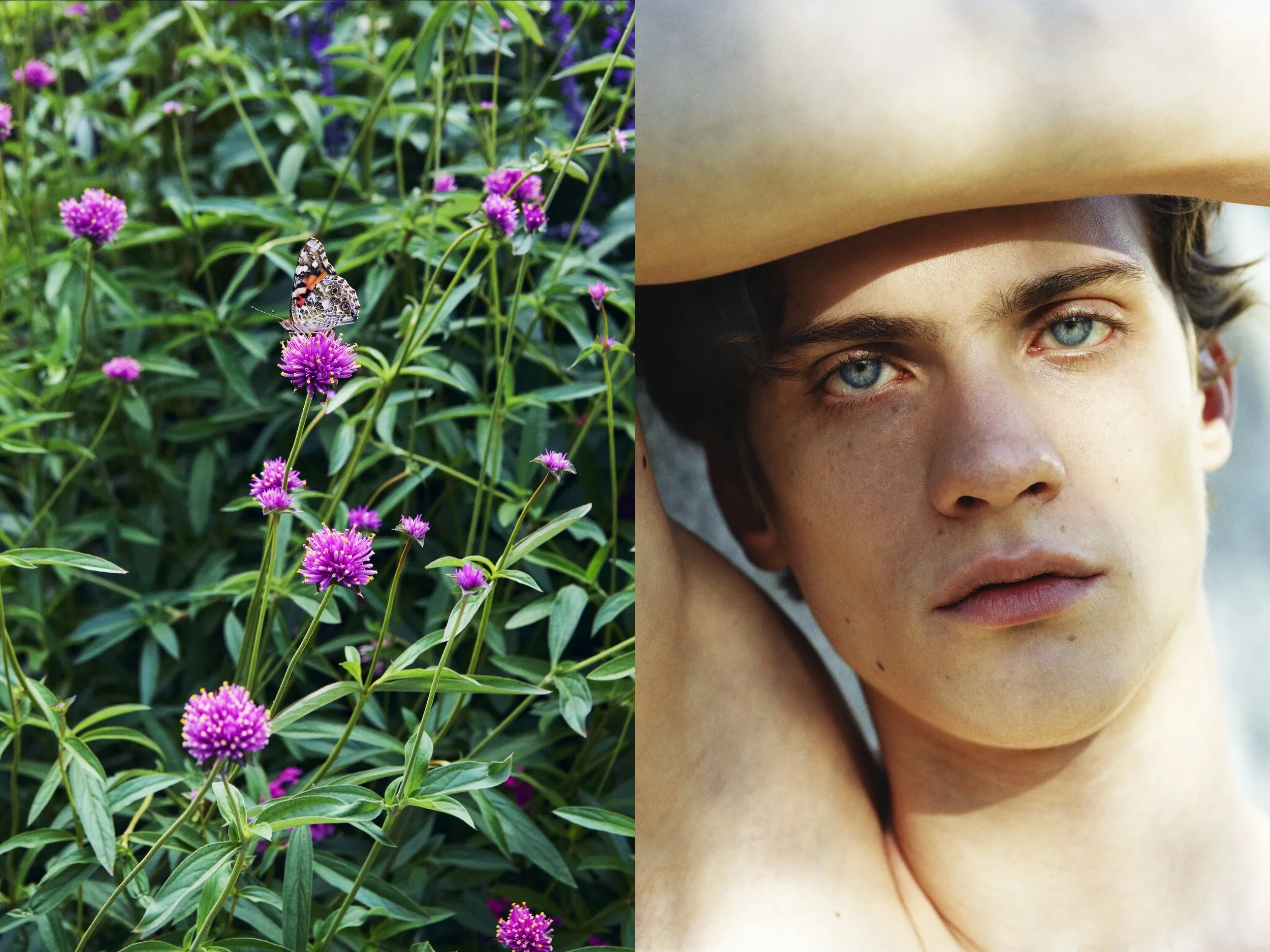 AJ Portrait DIPTYCHS + CP Butterfly Pink Flowers copy.jpg