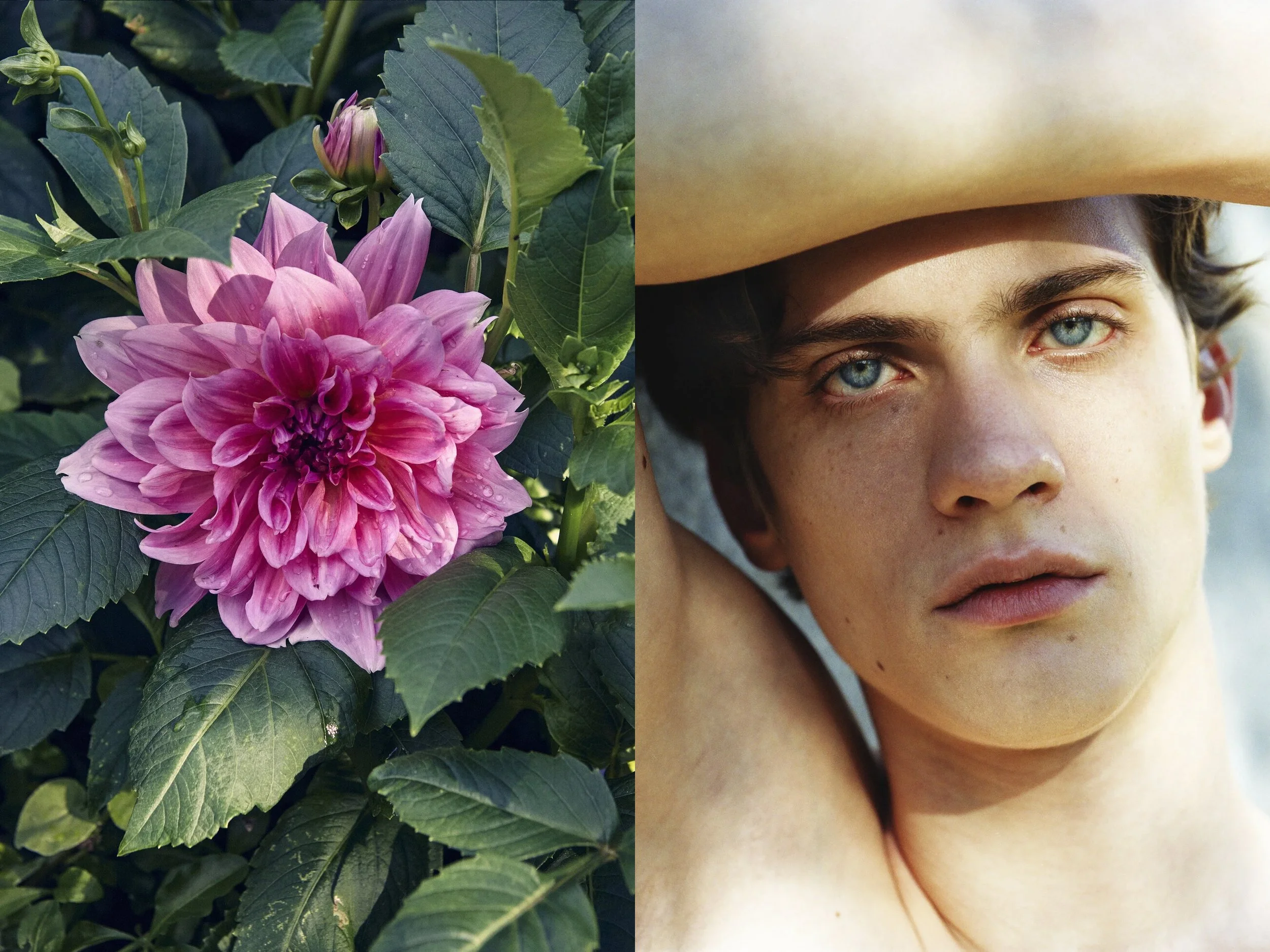 AJ Portrait DIPTYCHS + CP Big Pink Flower copy.jpg