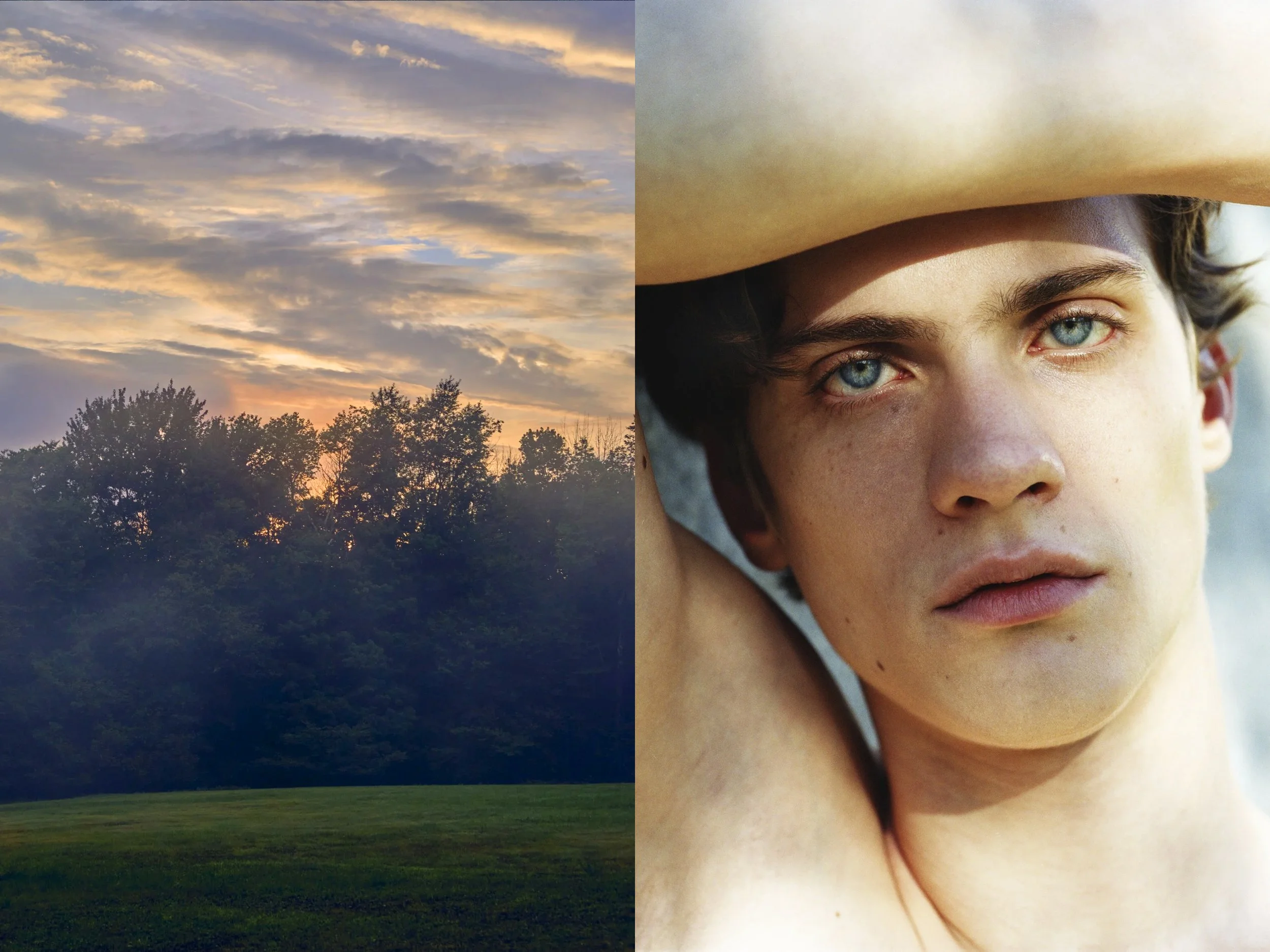 AJ Portrait DIPTYCHS + Lansmans Fog Sunset Purple copy.jpg