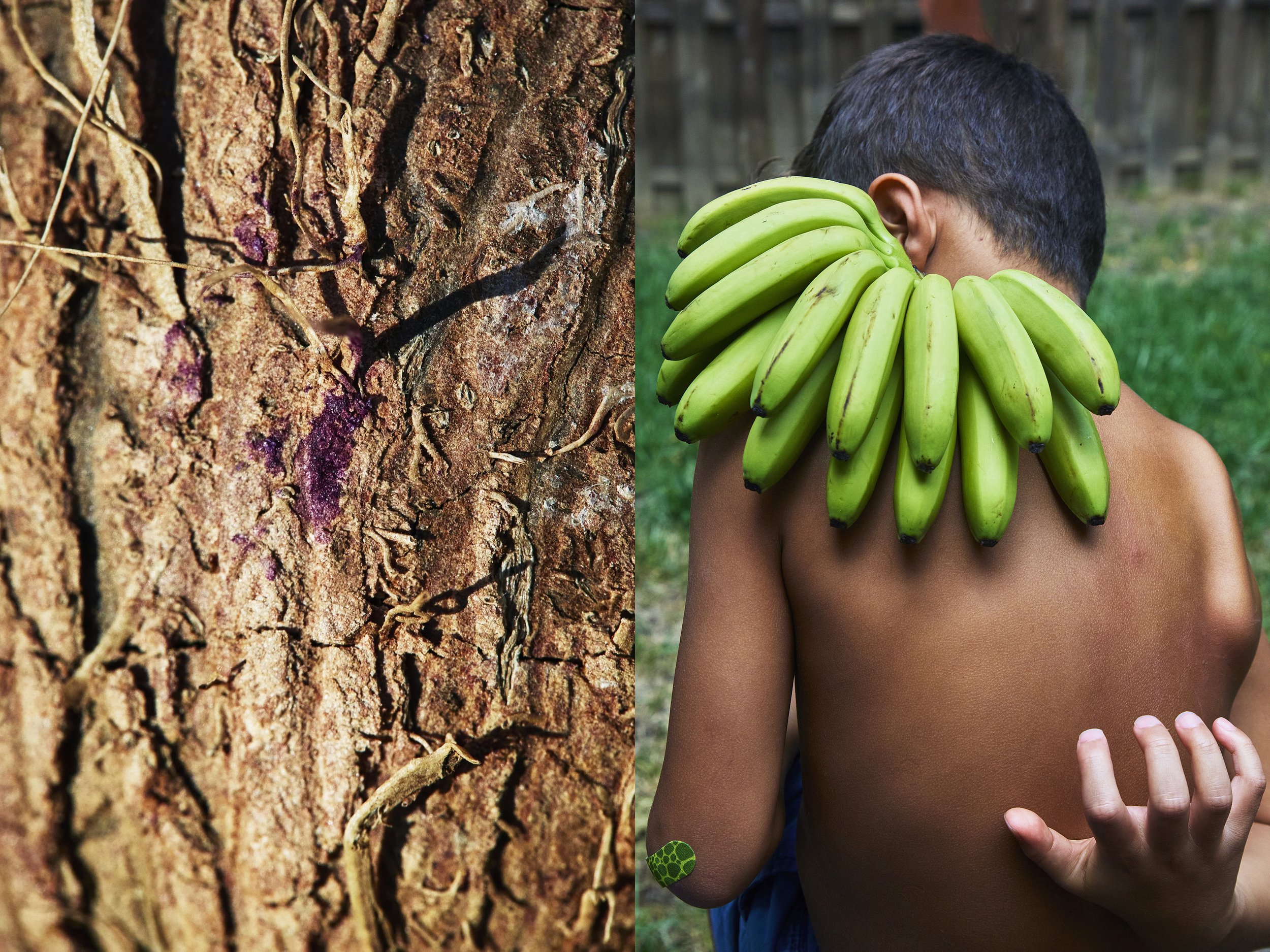 5G0A0410_s_VASCO+Bananas_DIPTYCHS_PurpleMineralsOnTopography copy.jpg