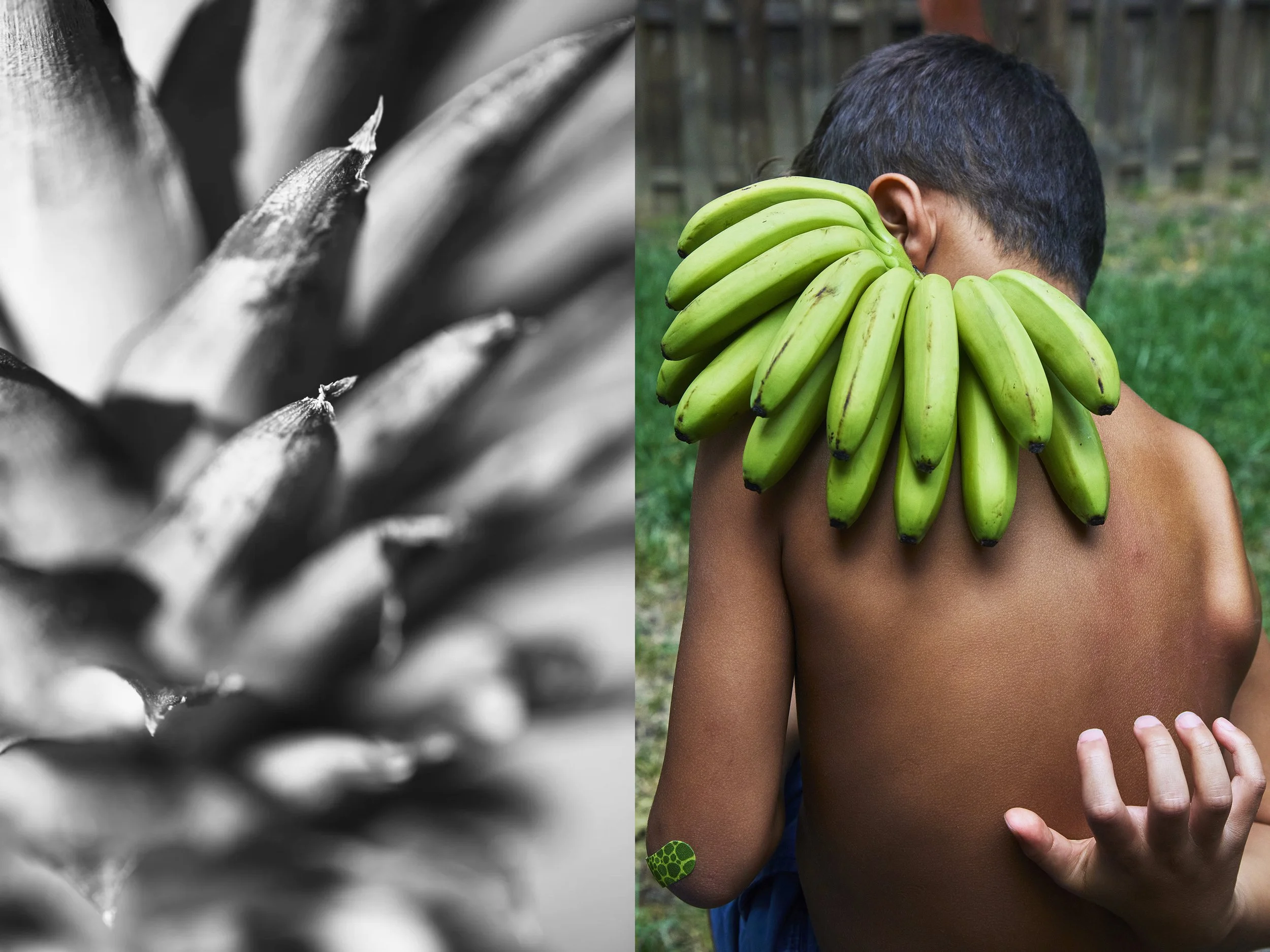5G0A0410_s_VASCO+Bananas_DIPTYCHS_SpikesBW copy.jpg