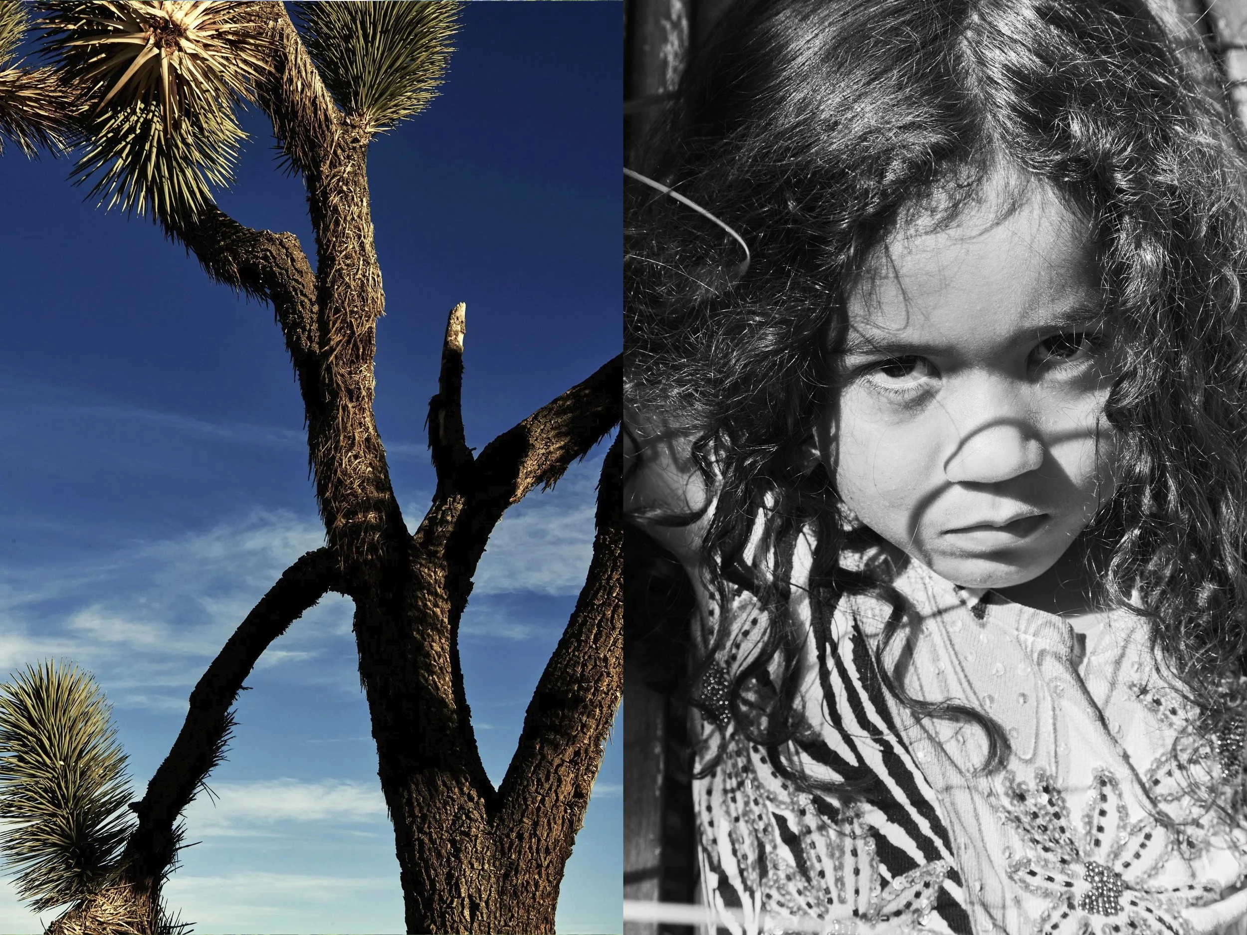 HinaIntenseBW+JoshuaTree copy.jpg