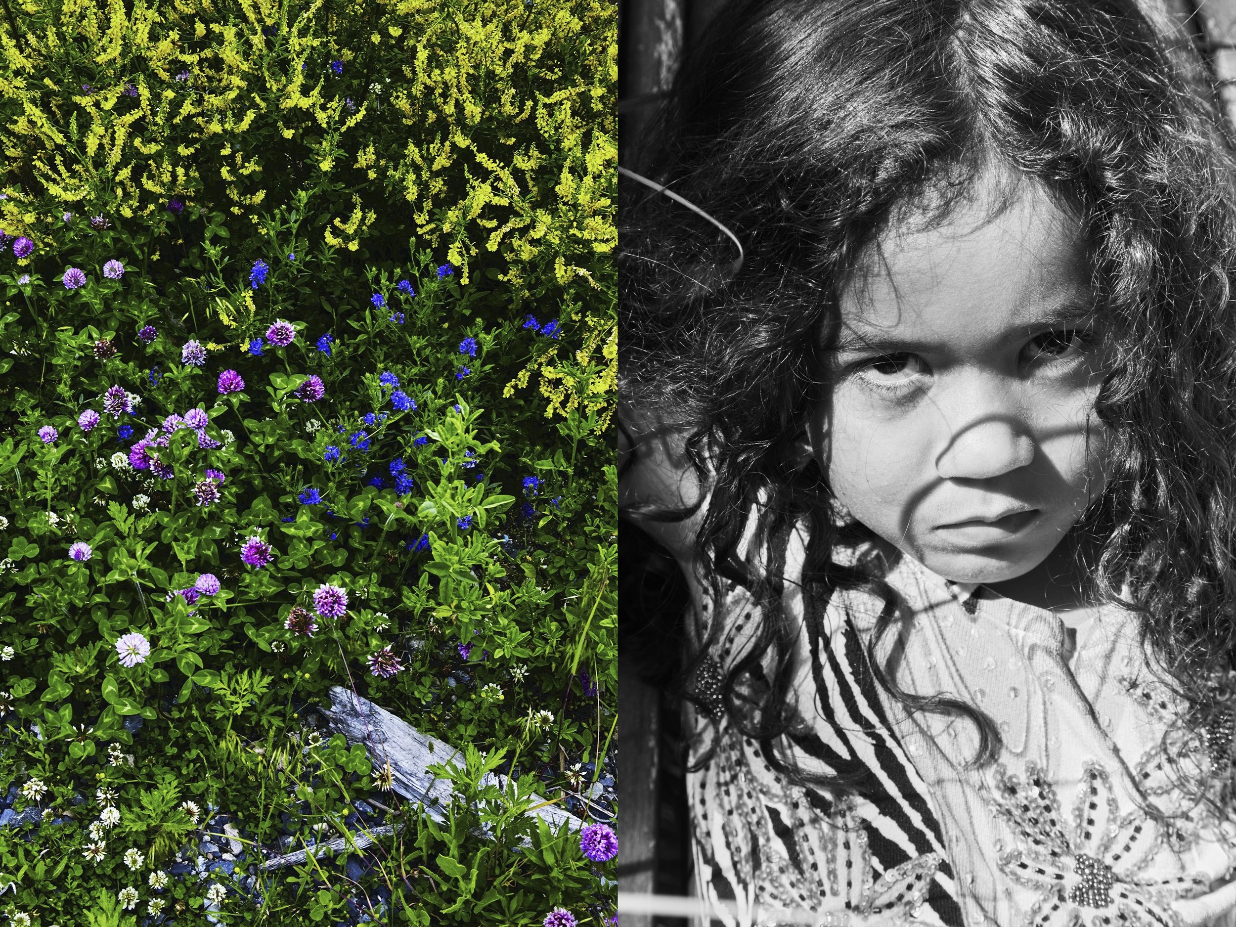 HinaIntenseBW+WildflowersFR copy.jpg