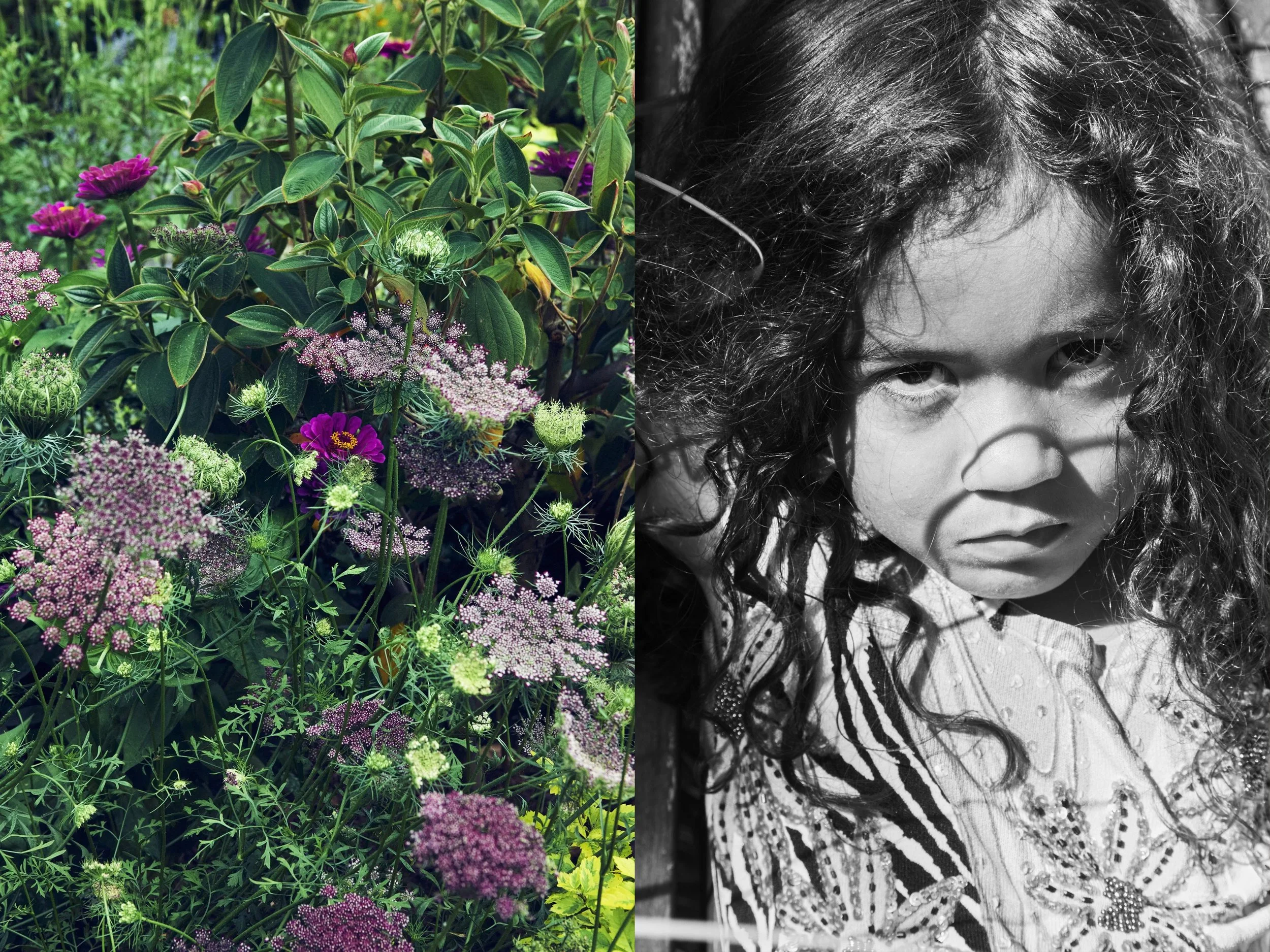 HinaIntenseBW+EnchantedFlowers1 copy.jpg