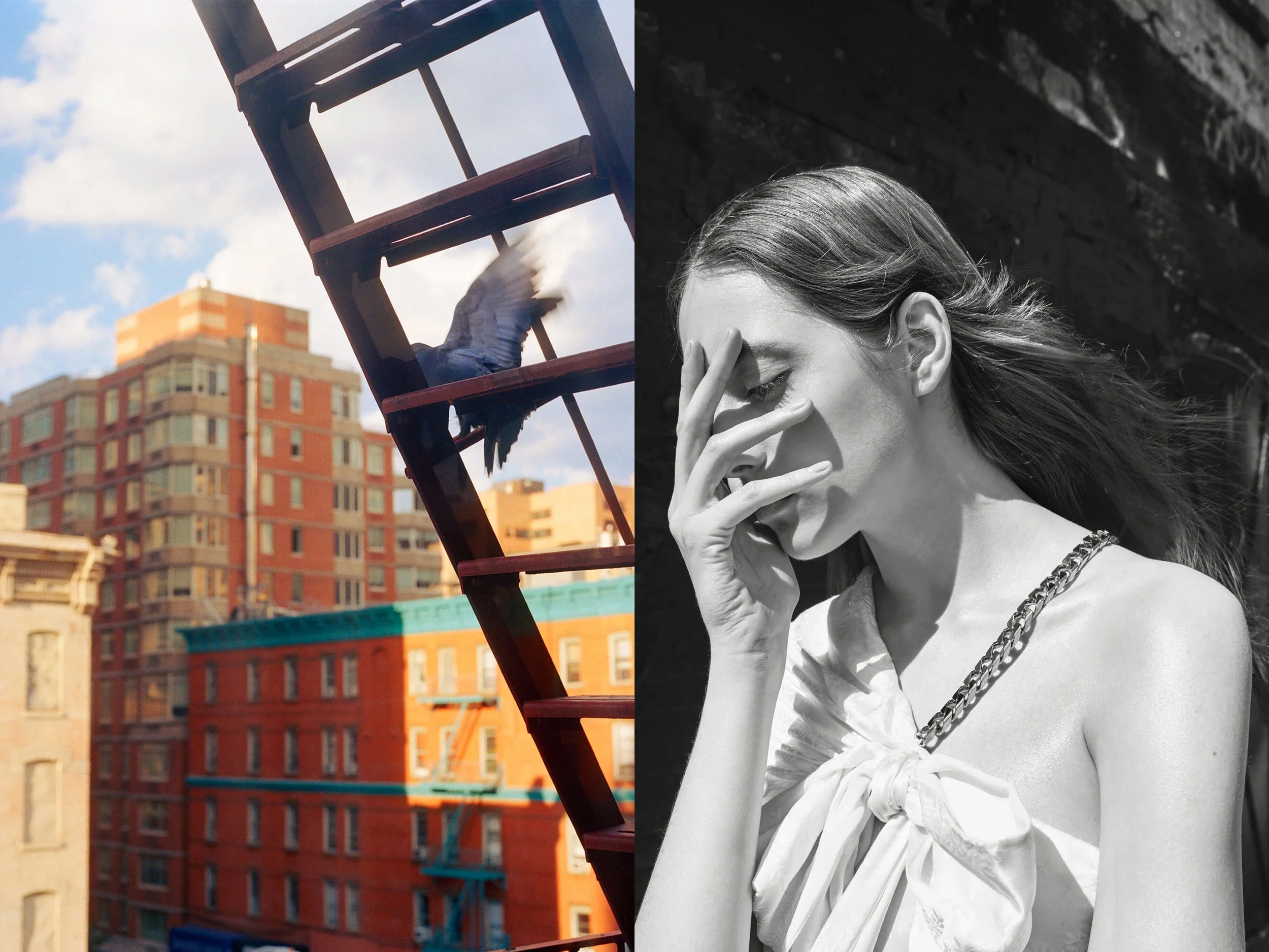 LiaP_VogueMe_4 (1) diptych + pigeon copy.jpg