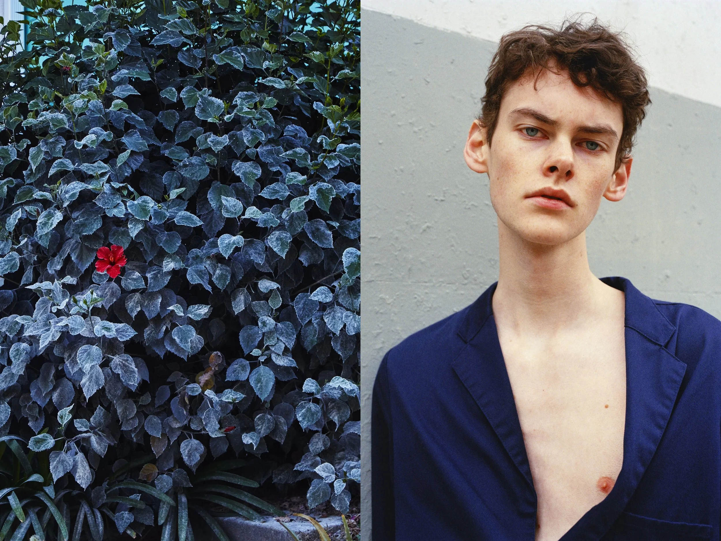 Ricky_GoSee_BlueBlazer + RedFlowerBlueBushes copy.jpg