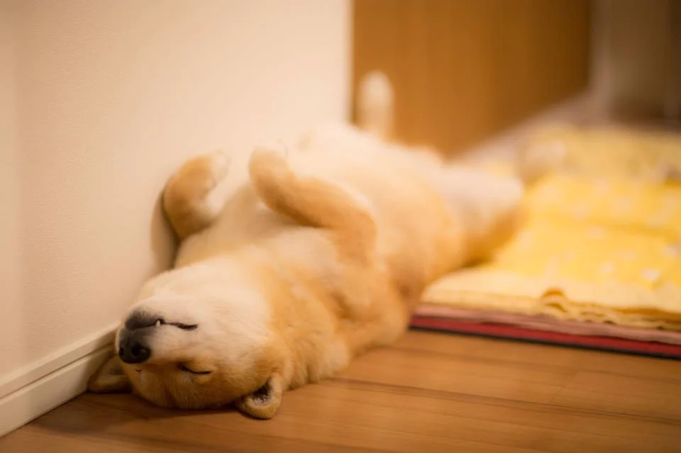 relax_by_marustagram-d6oo2zl.jpg