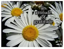 attitudegratitude