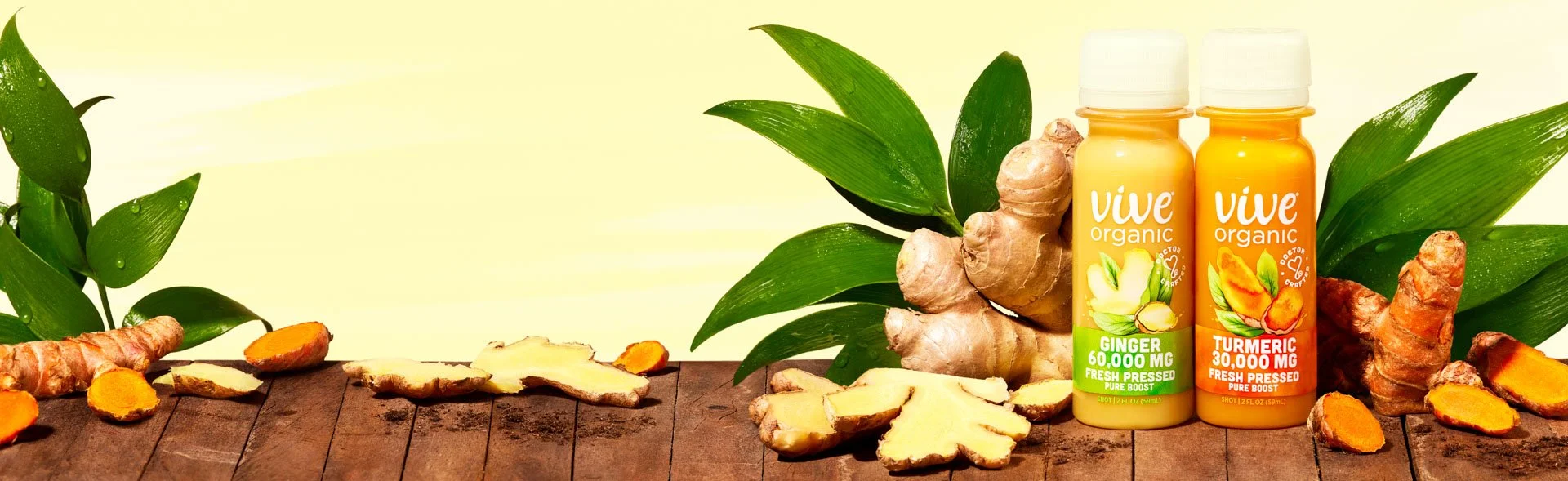 Vive_PB_Group_Hero_14X48_v8 QC + Bleed.jpeg