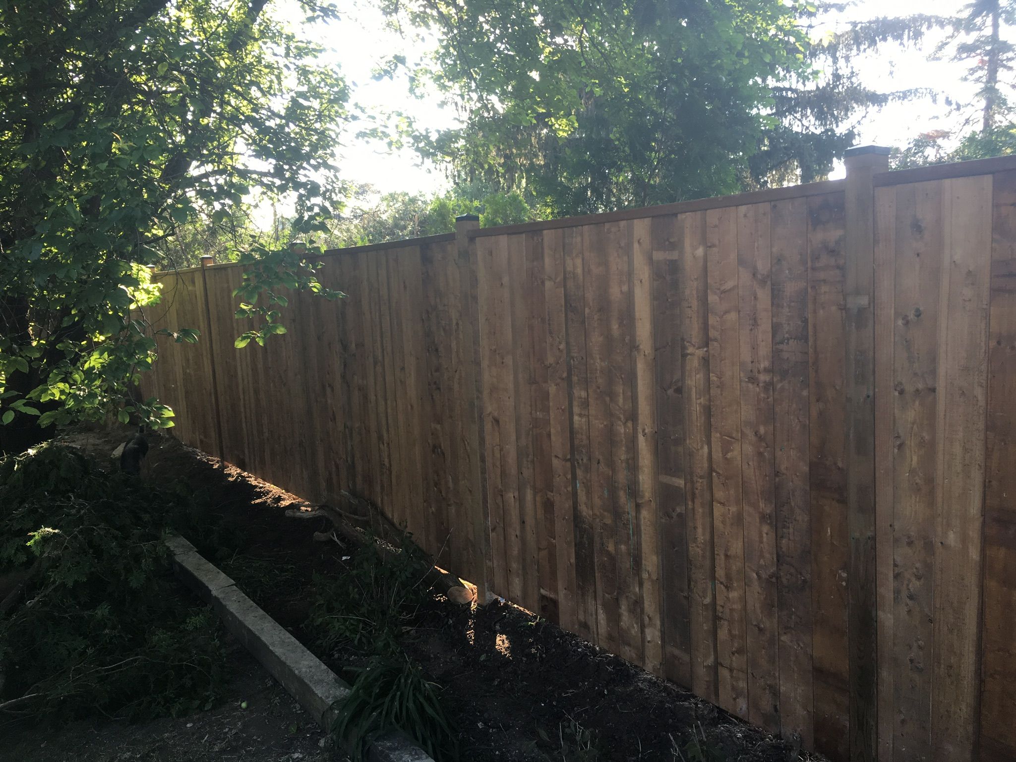 Fence 2.jpg